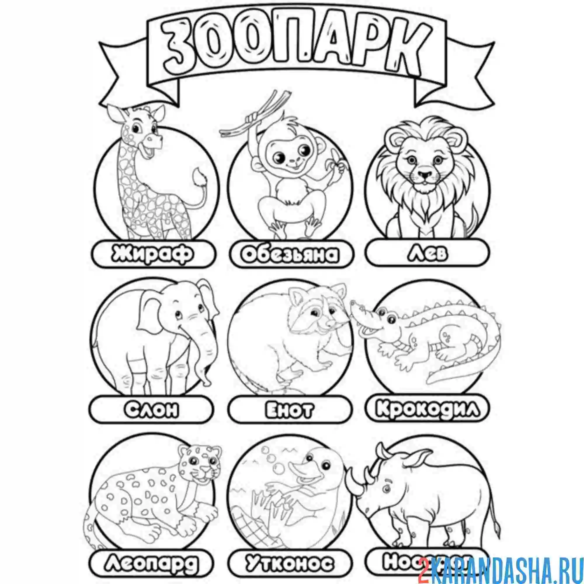Раскраска зоопарк названия животных