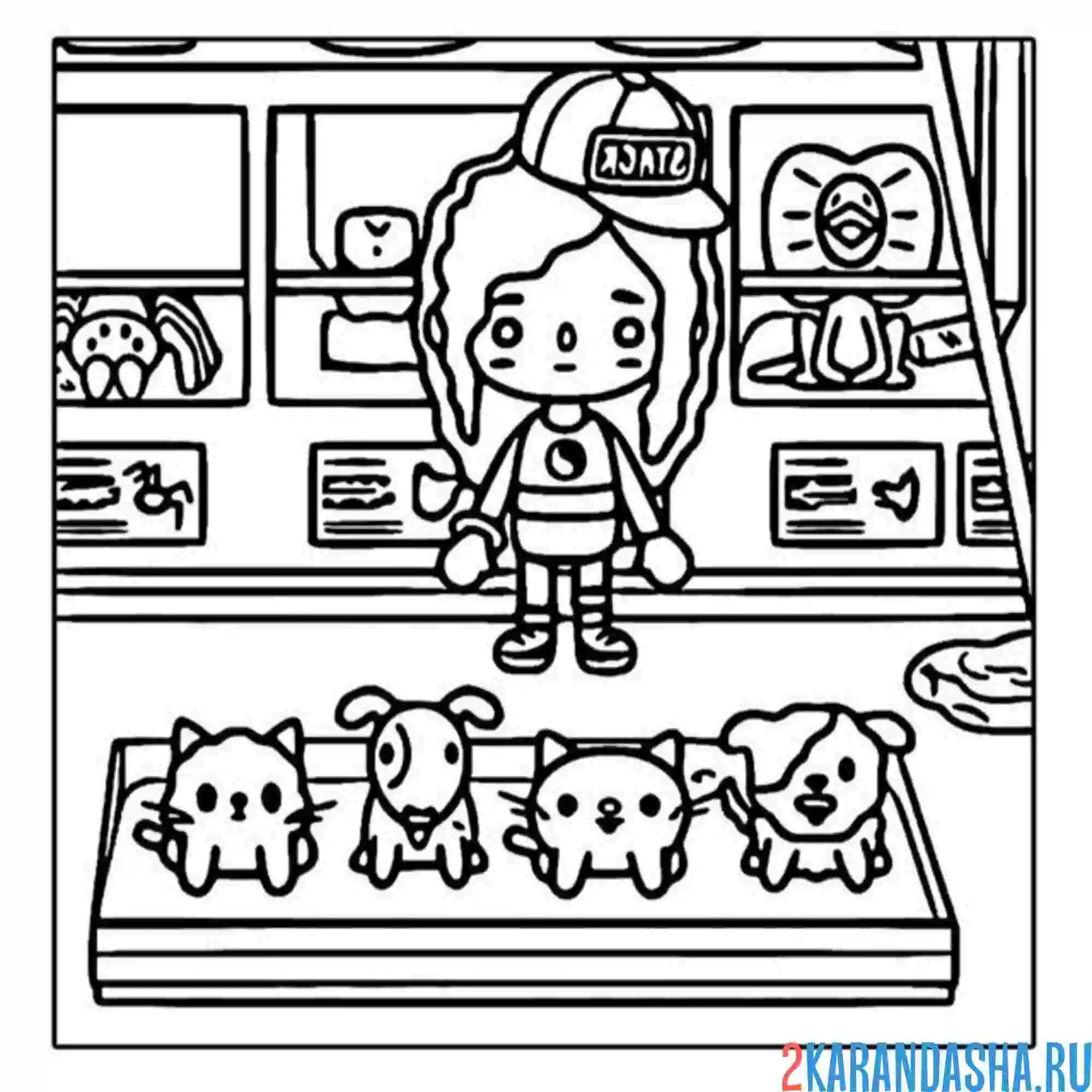 Раскраска тока бока зоомагазин