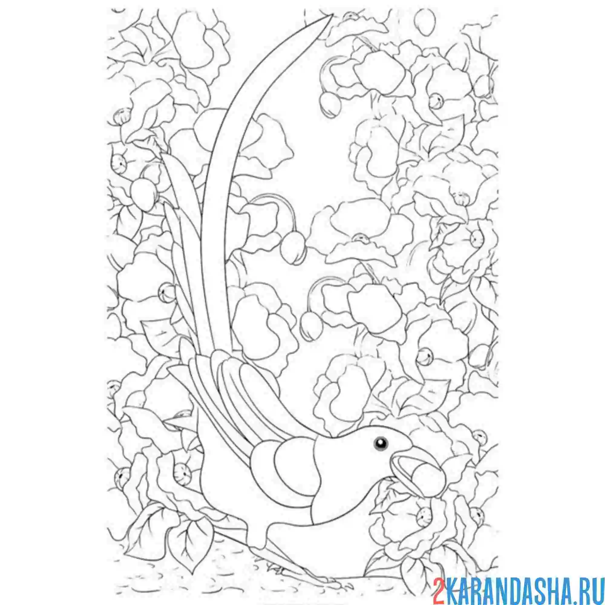 Раскраска сорока в ветках