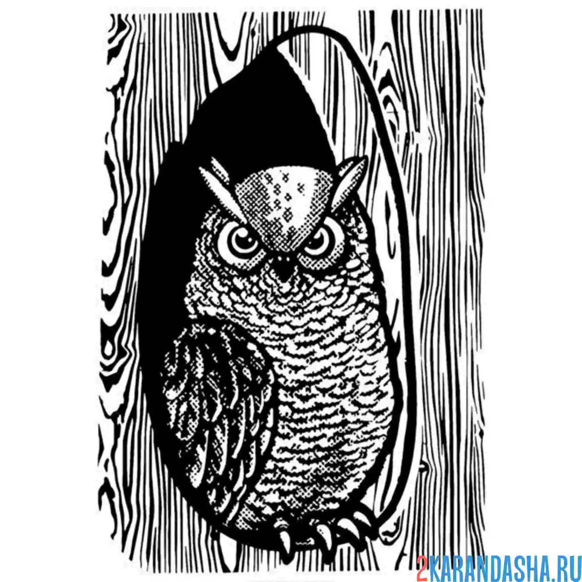 Раскраска сова в дупле