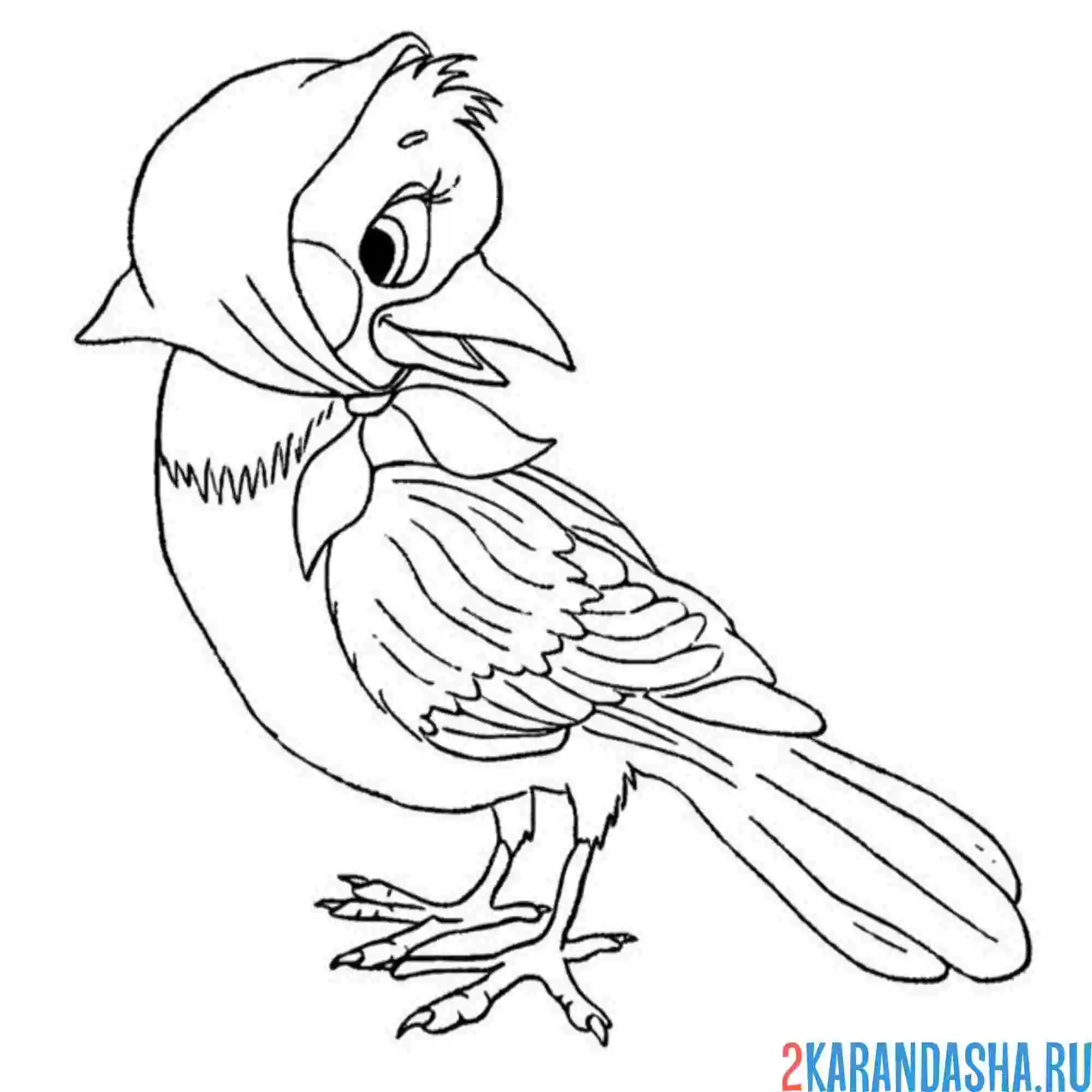 Раскраска птичка сорока-белобока