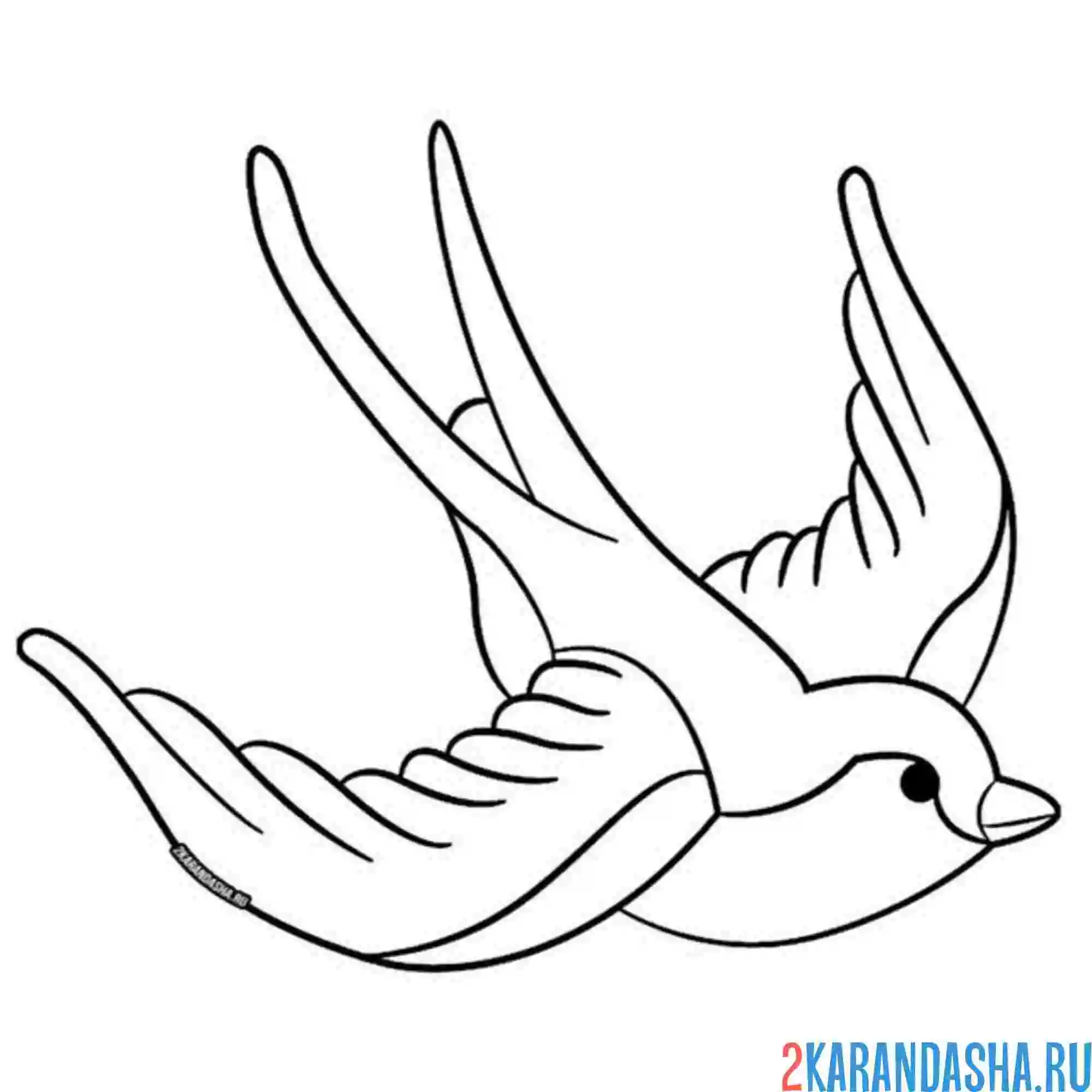 Раскраска ласточка полет в небе