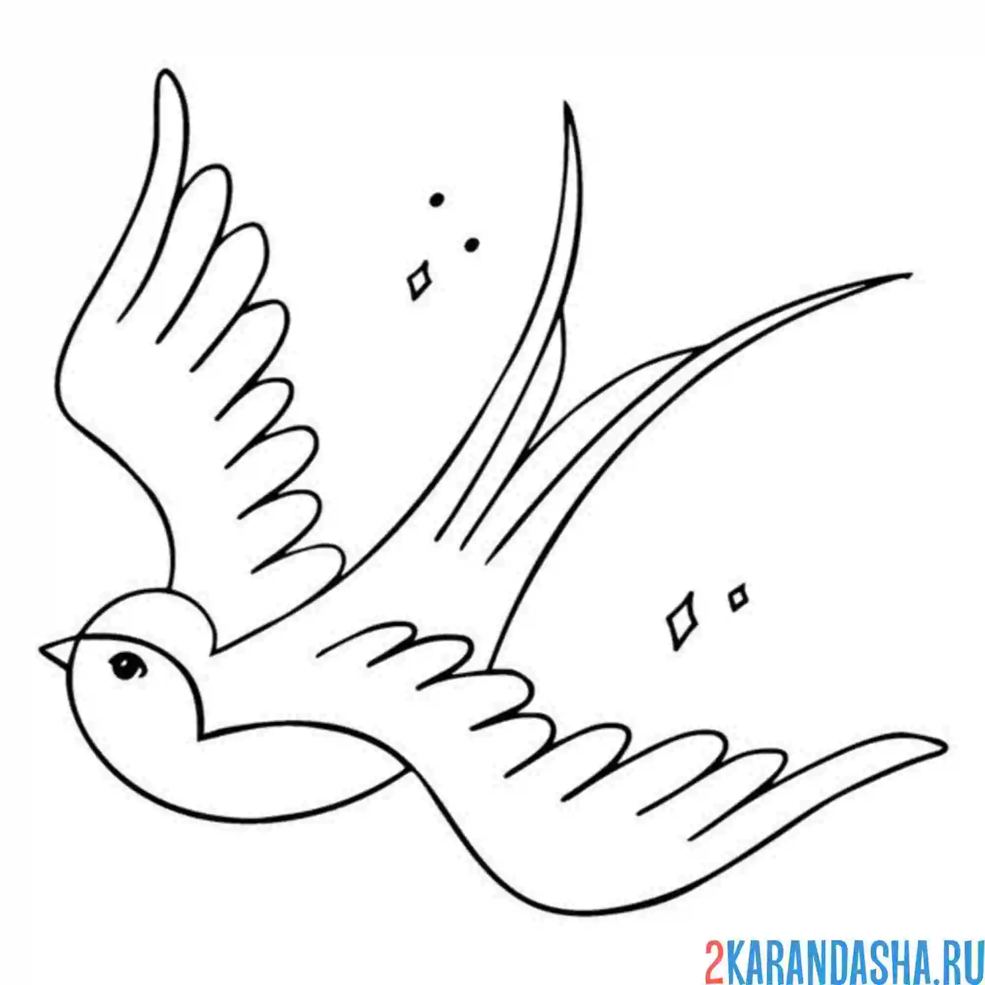 Раскраска простая ласточка