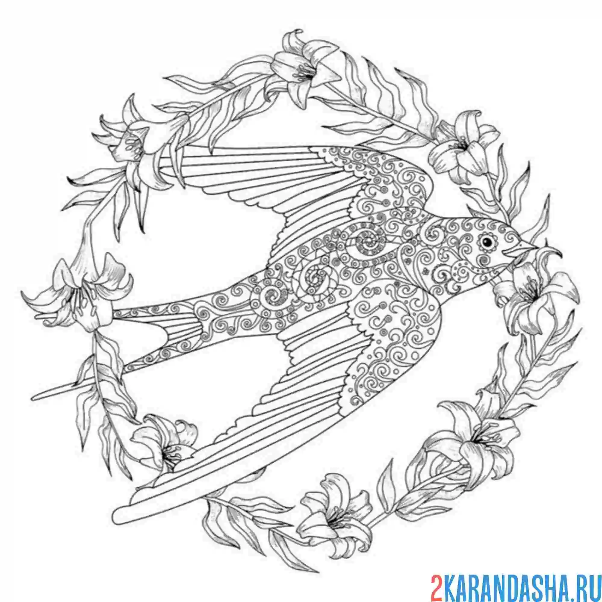 Раскраска ласточка антистресс