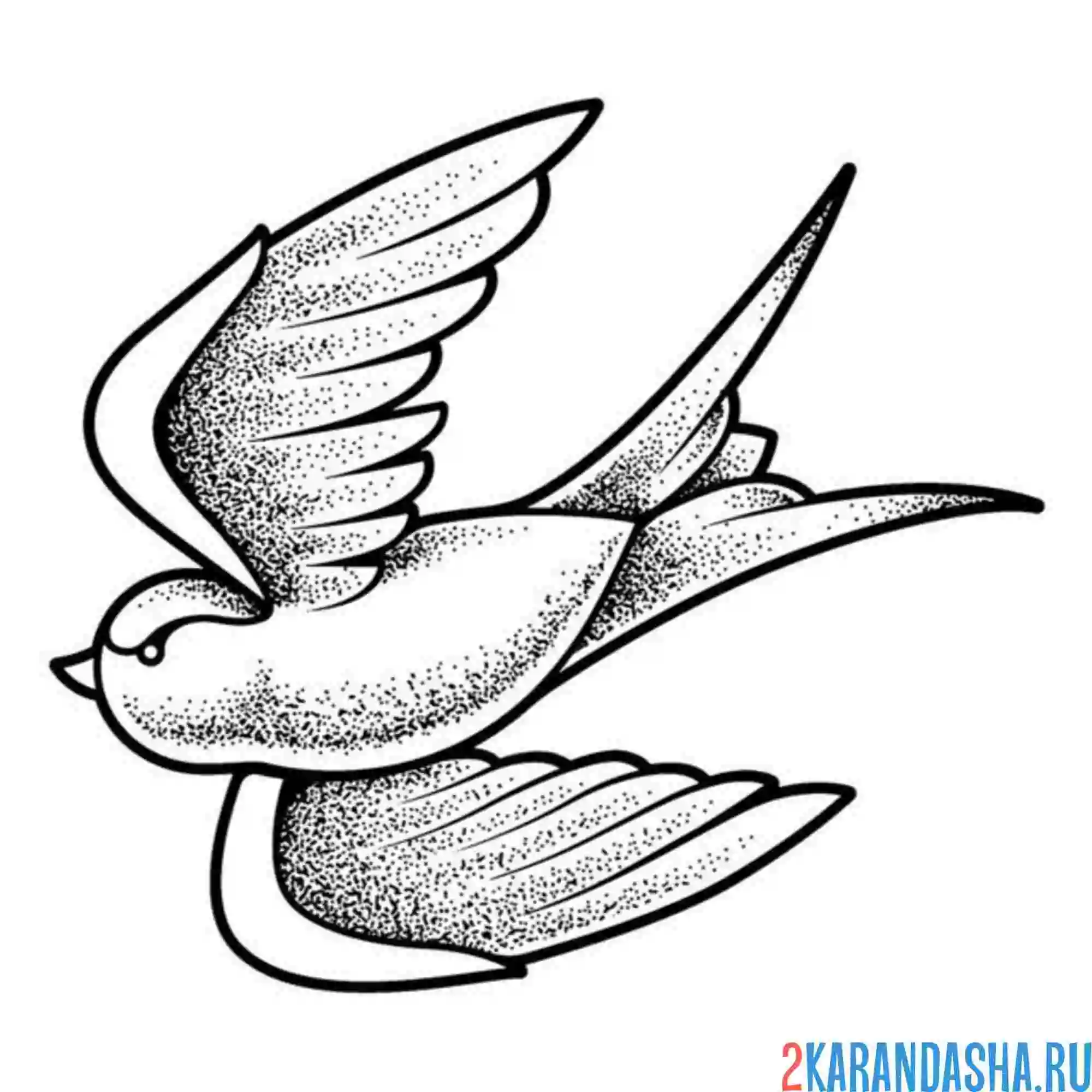 Раскраска весенняя ласточка