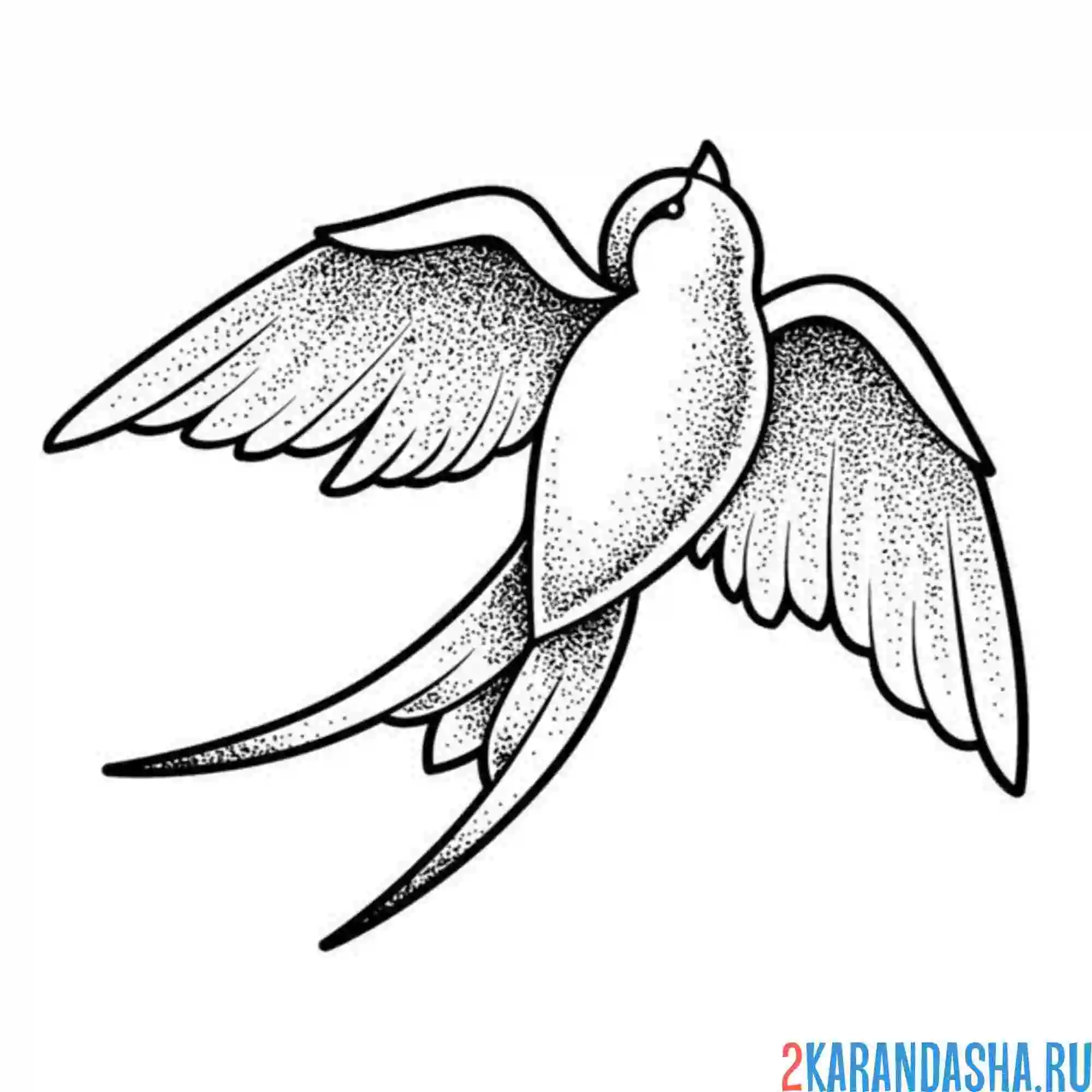 Раскраска ласточка для тату