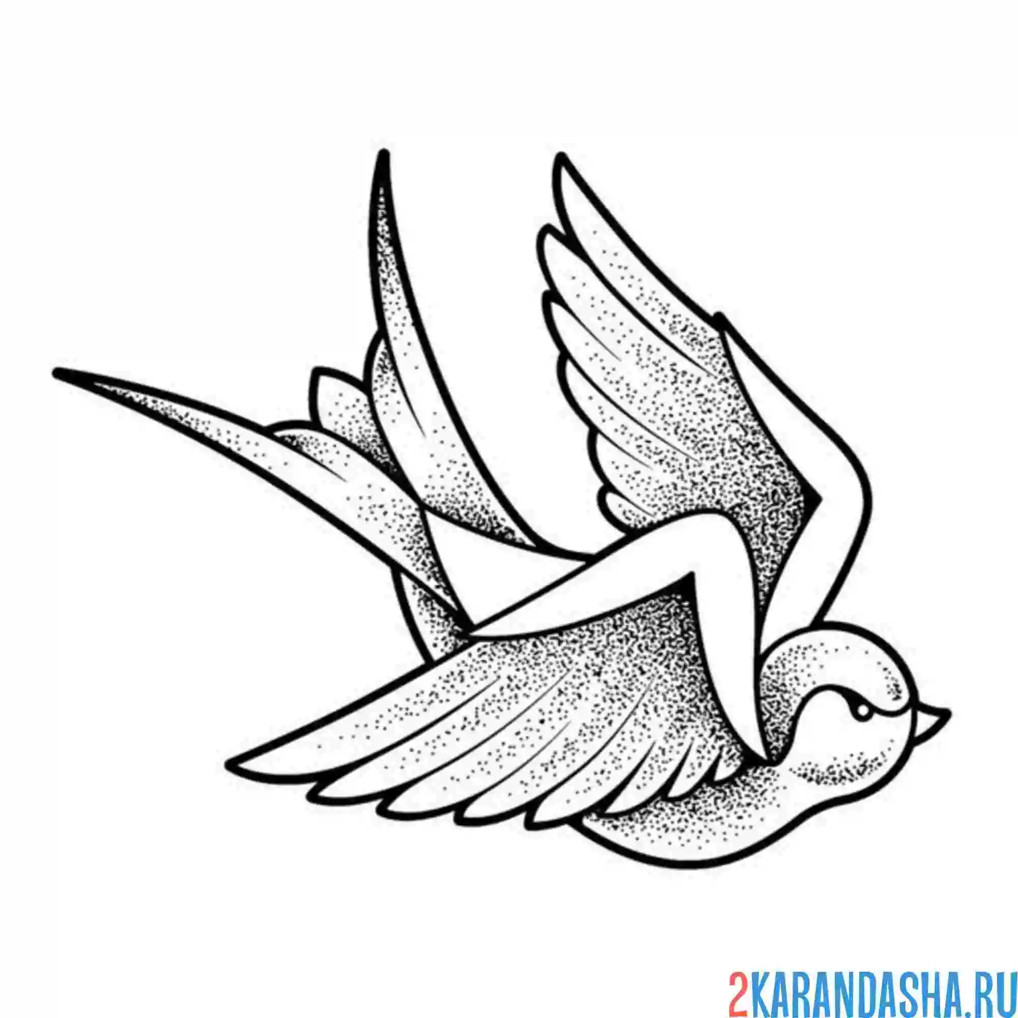 Раскраска ласточка маленькая