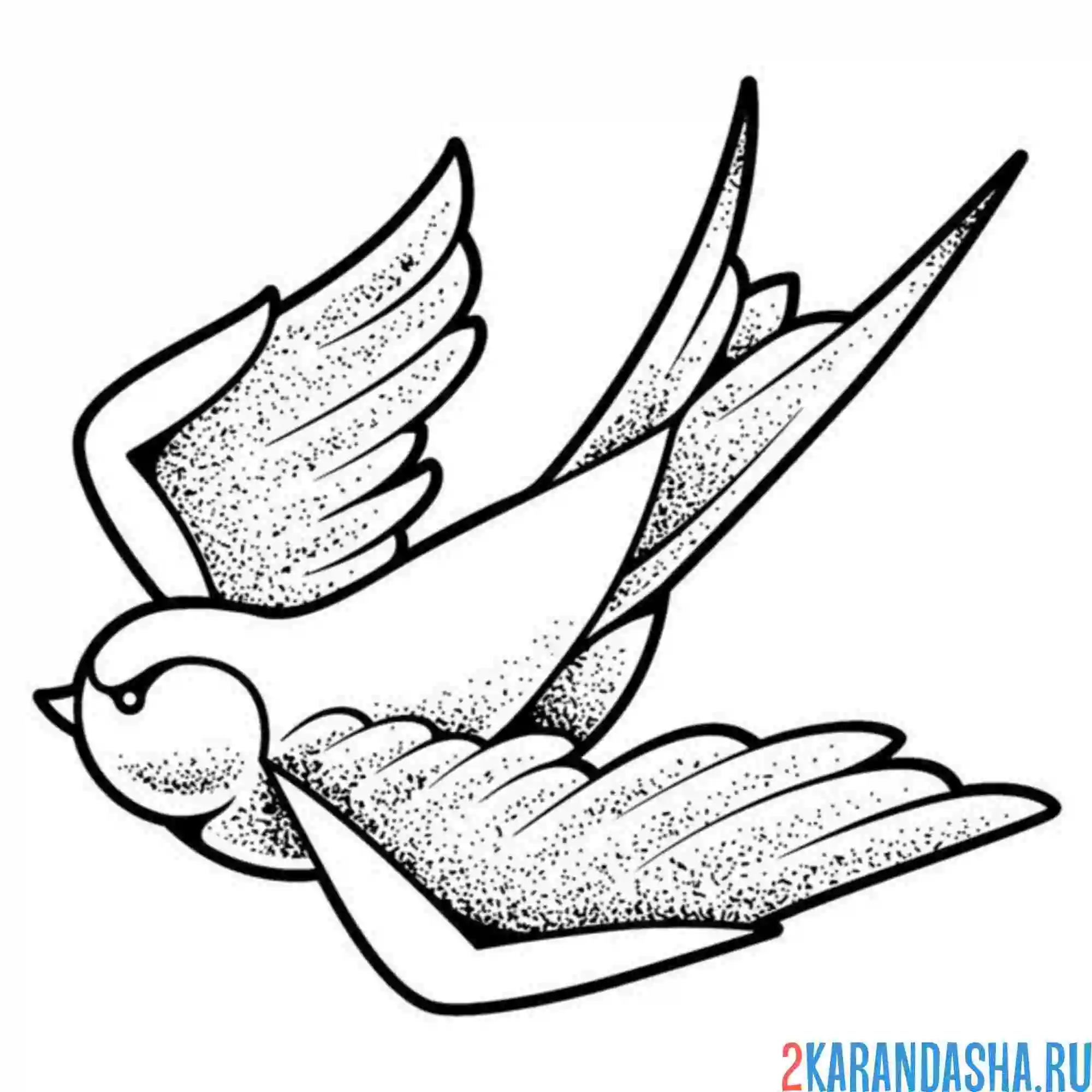 Раскраска маленькая ласточка