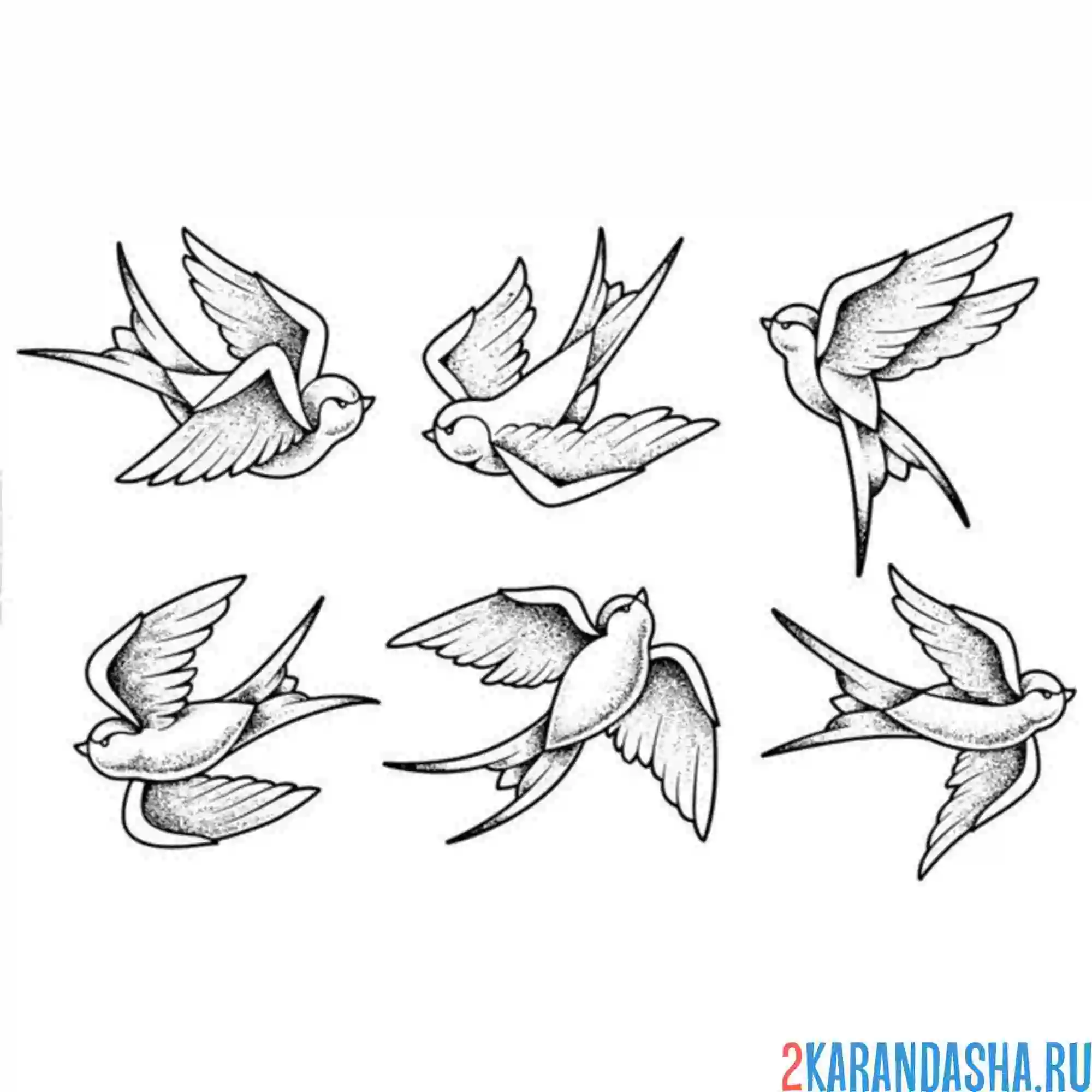 Раскраска разные ласточки