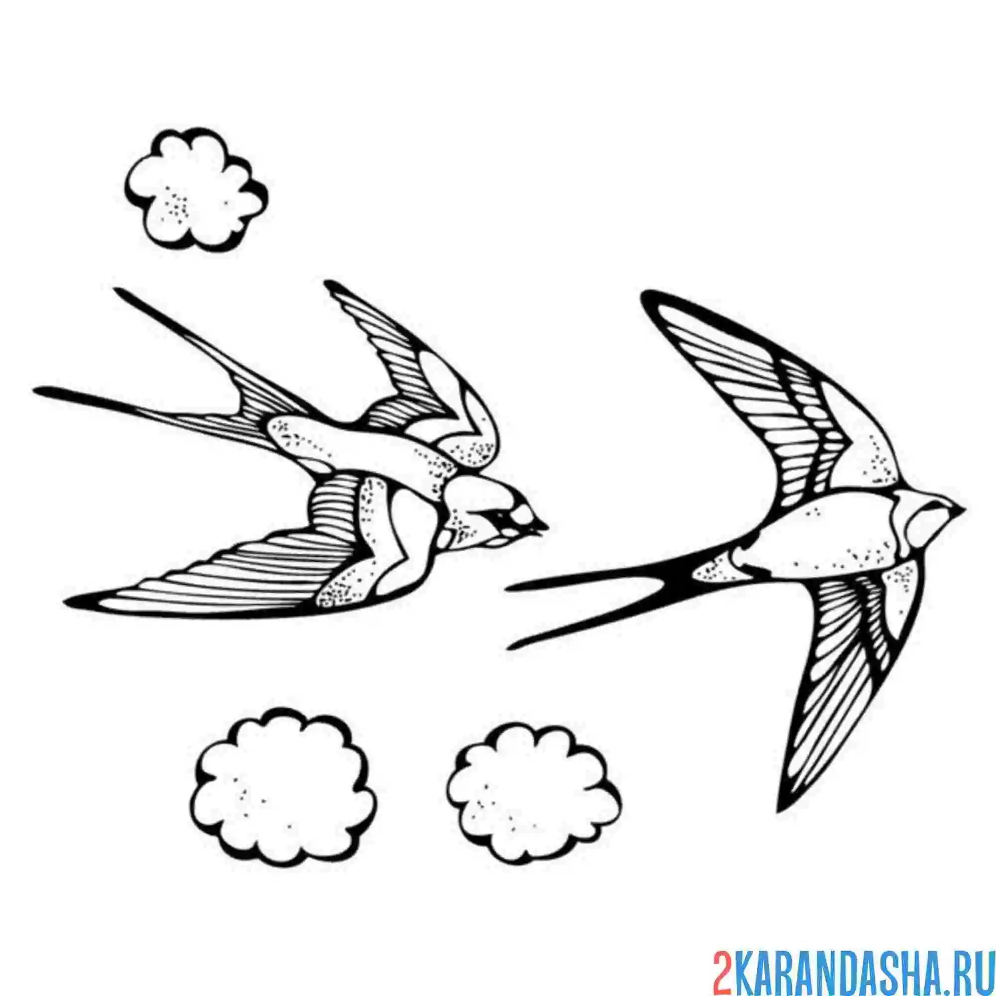 Раскраска две ласточки в небе