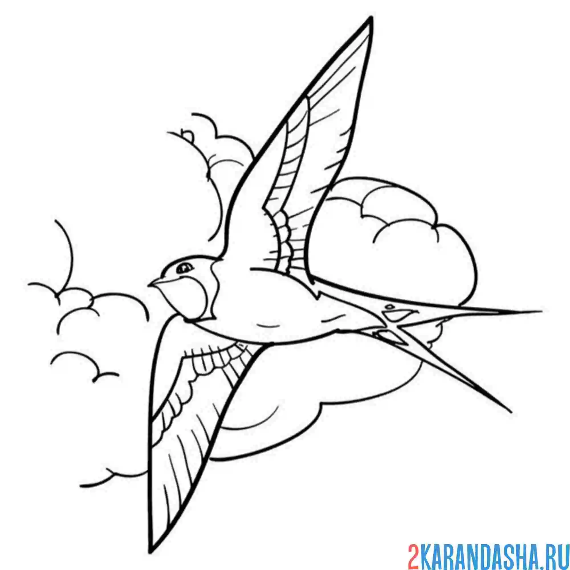 Раскраска ласточка в небе туча