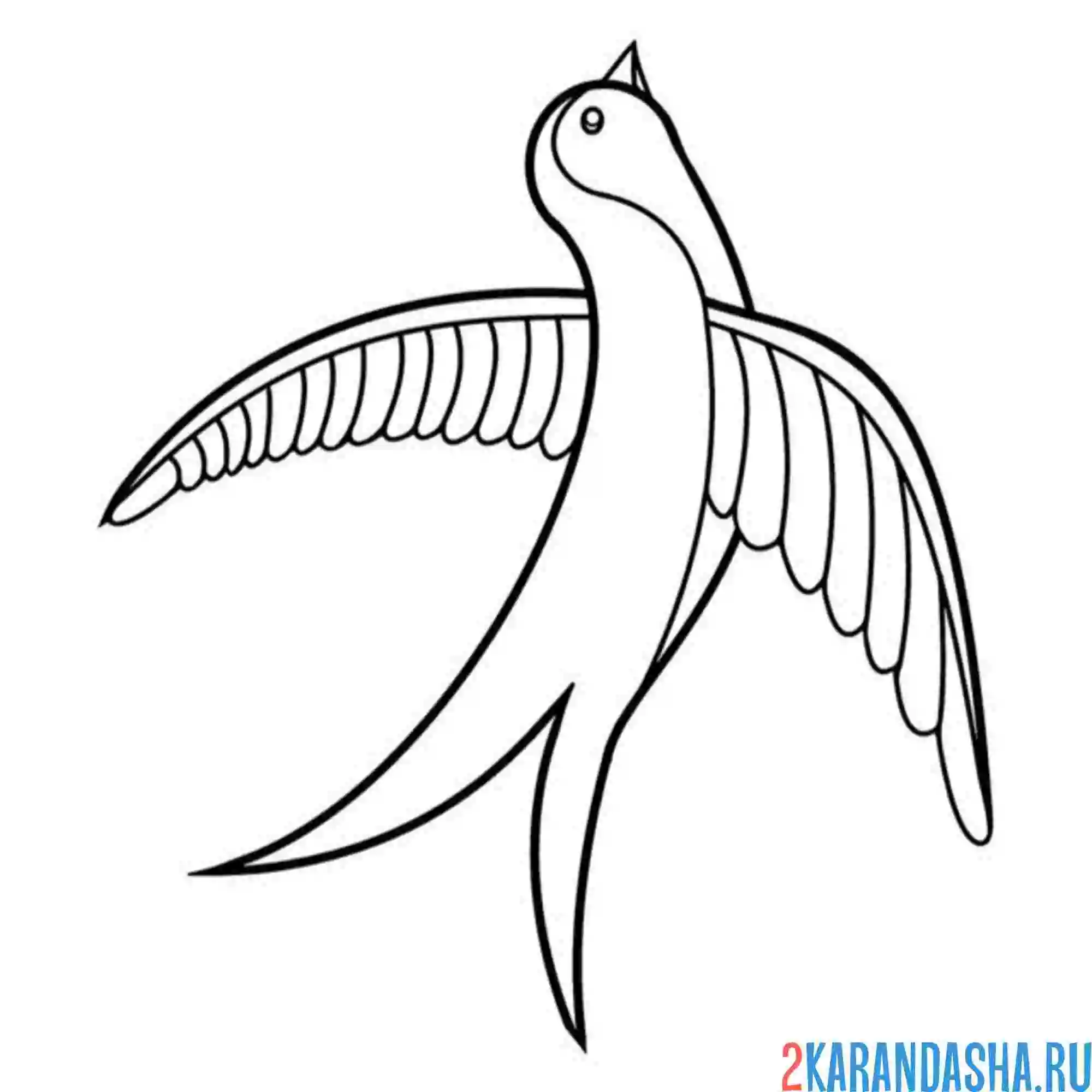 Раскраска ласточка смешная