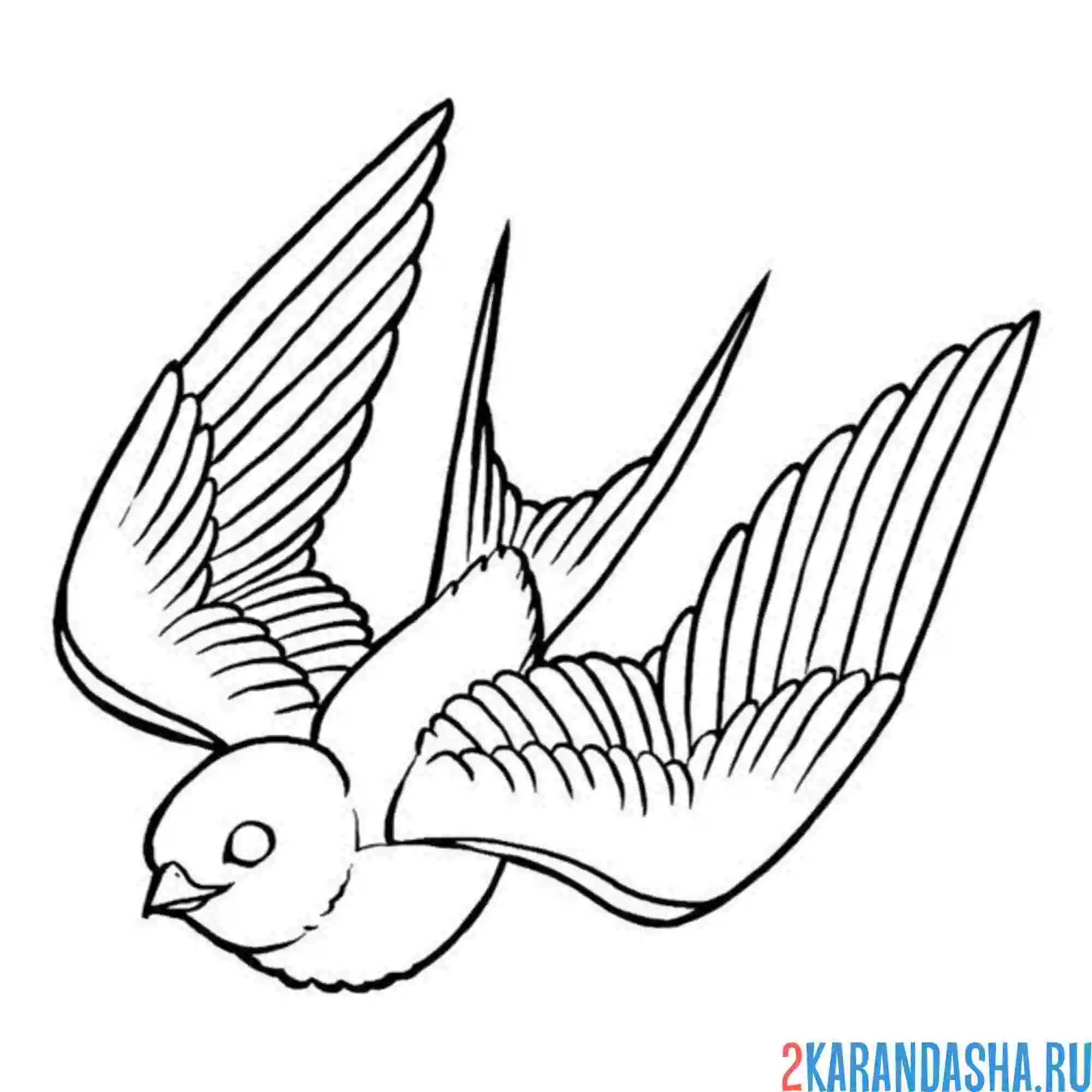 Раскраска ласточка уснула