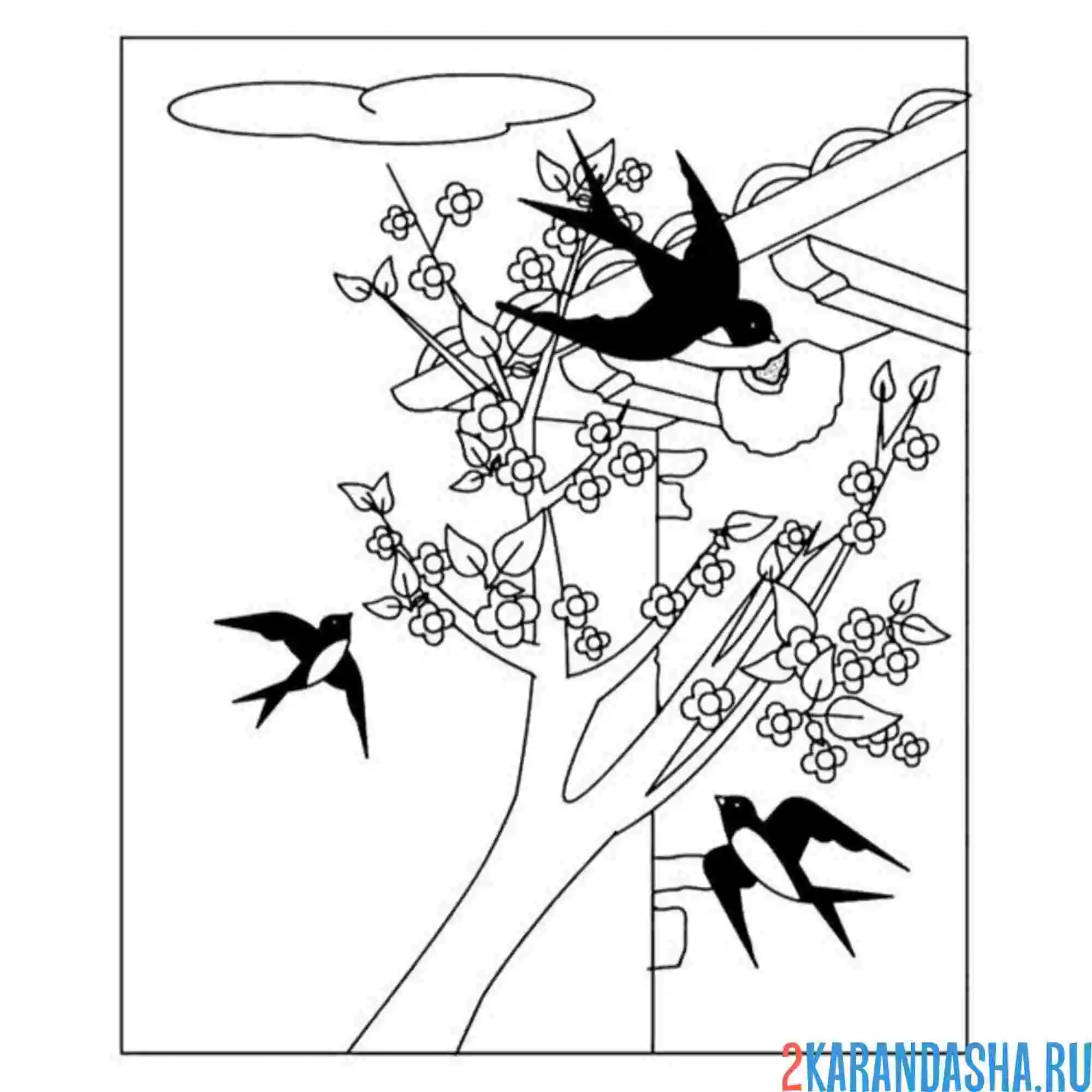 Раскраска ласточки кружатся