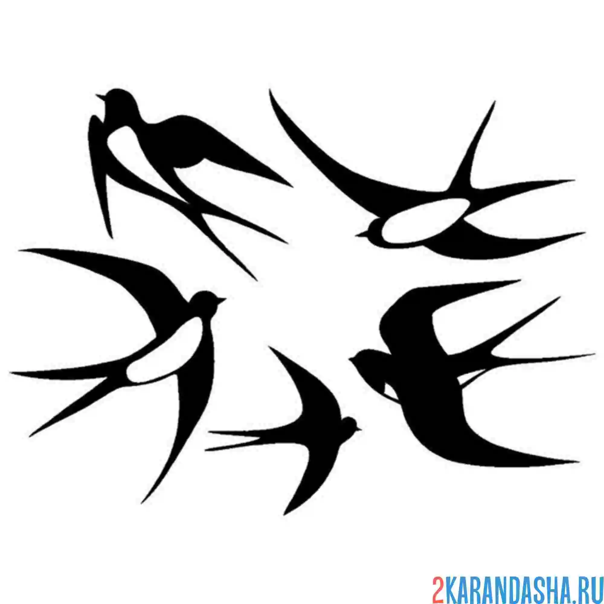 Раскраска ласточки 5 штук