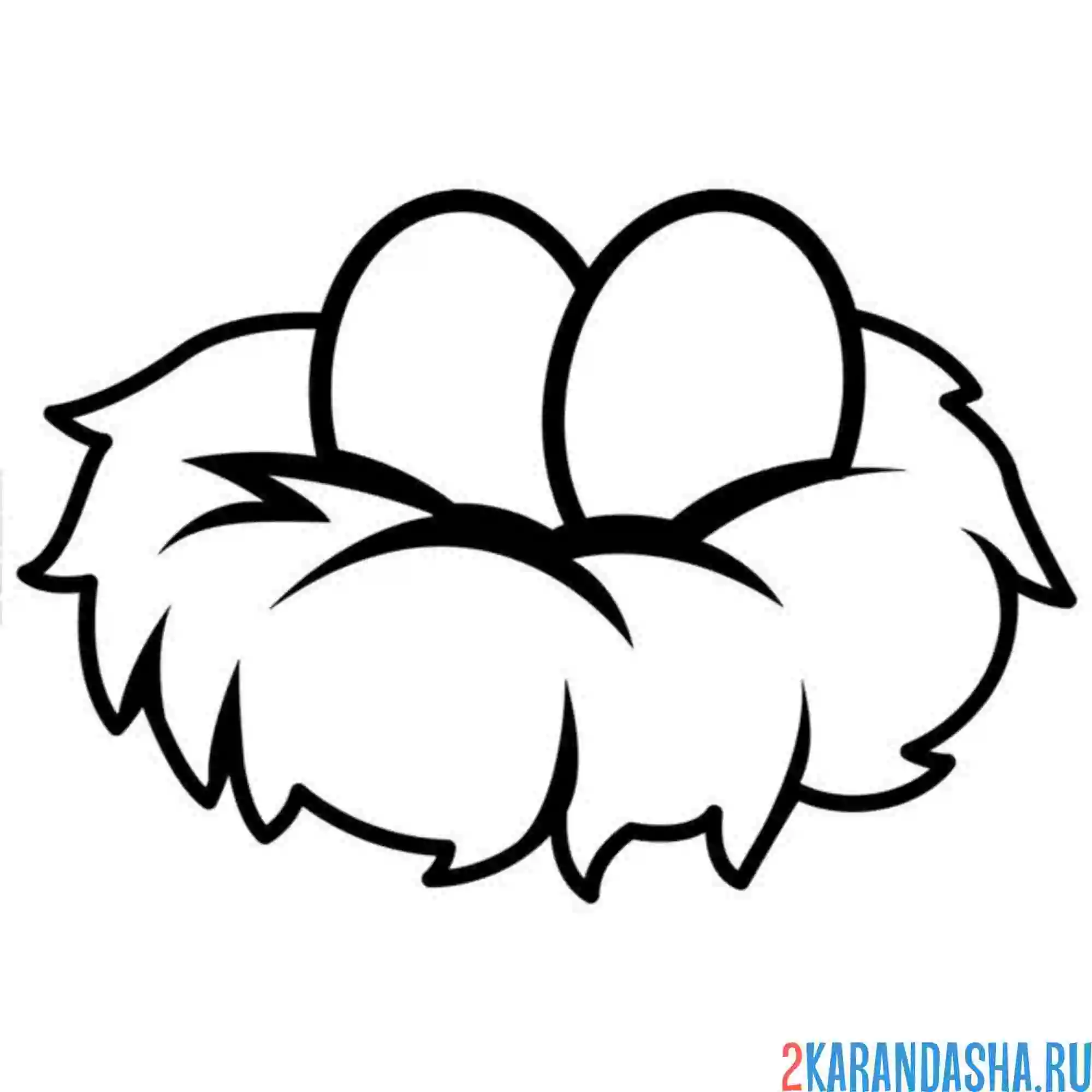 Раскраска два яйца в гнезде