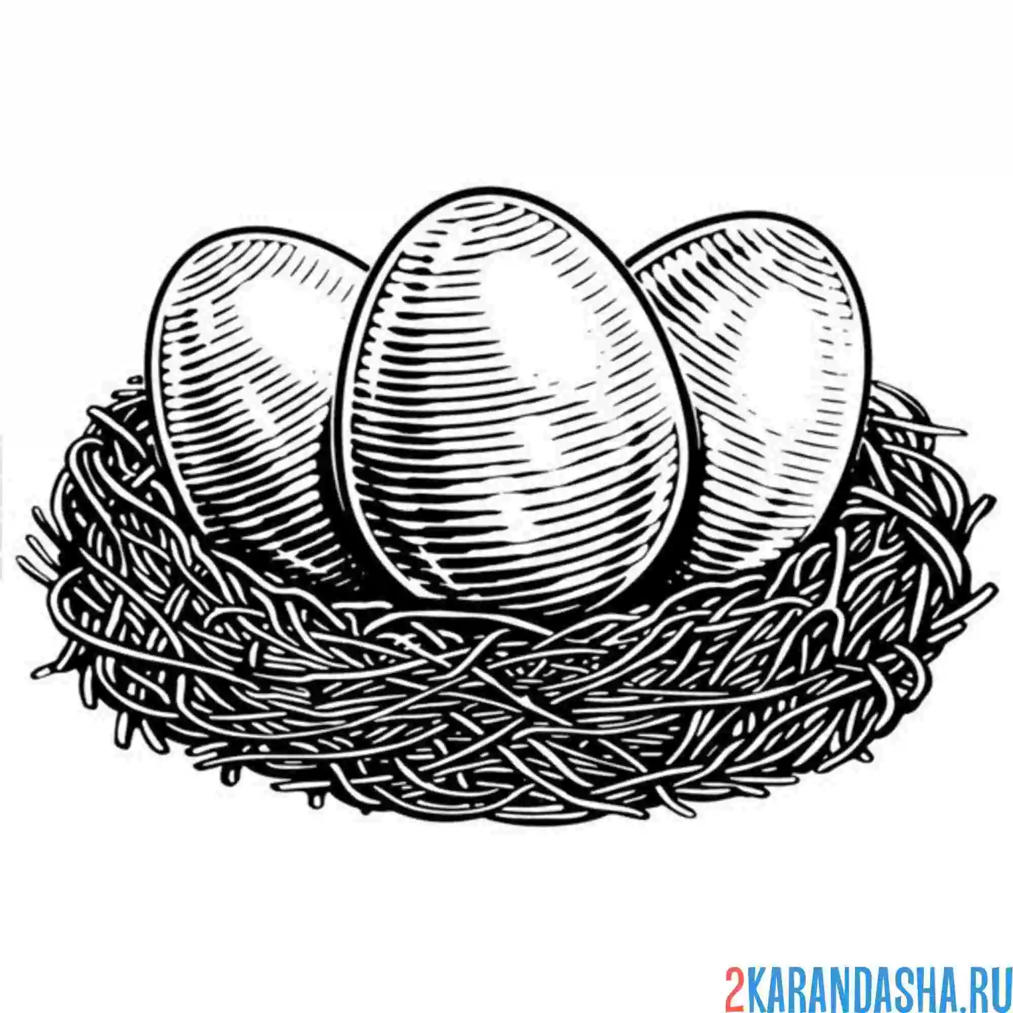 Раскраска золотые яйца в гнезде