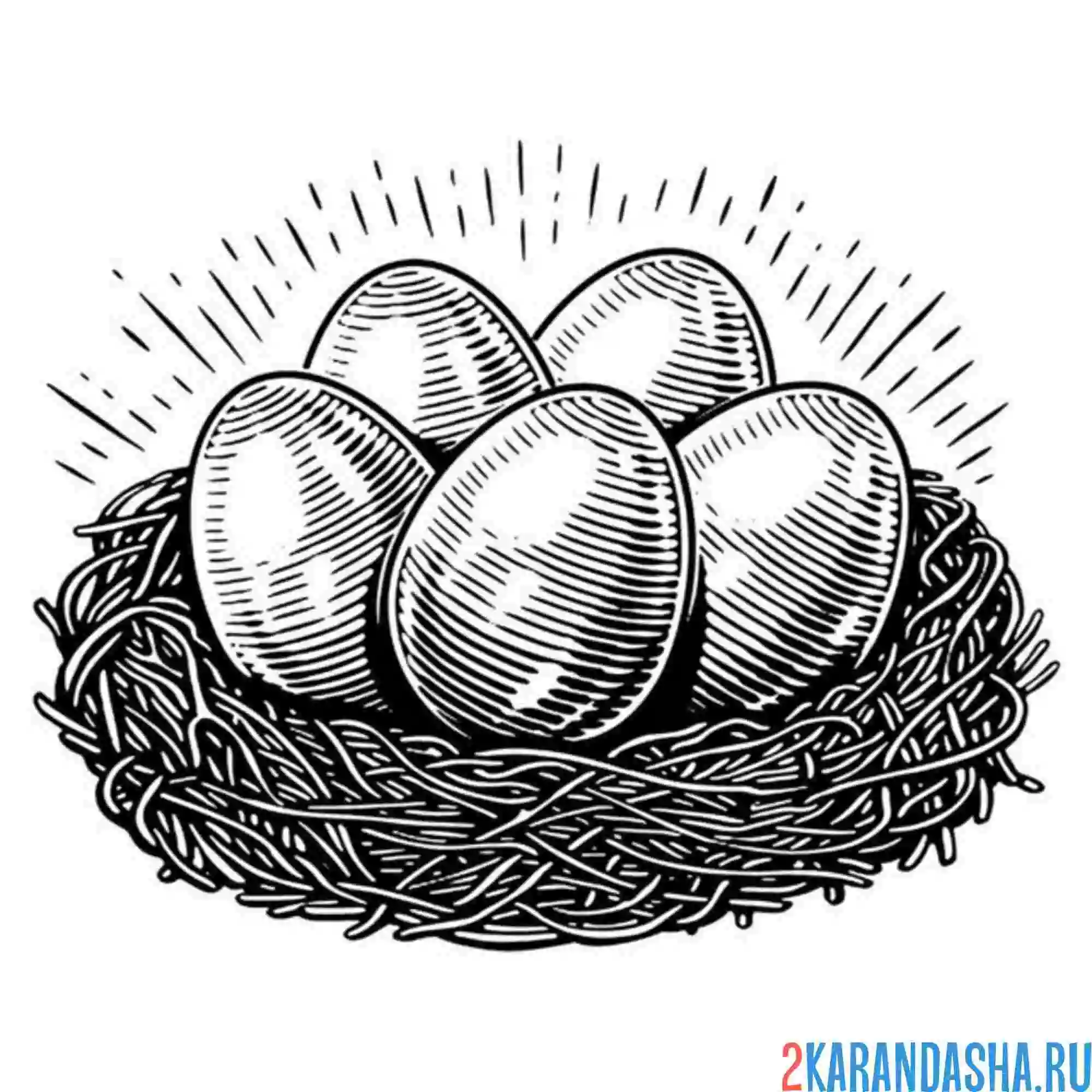 Раскраска пять яиц в гнезде