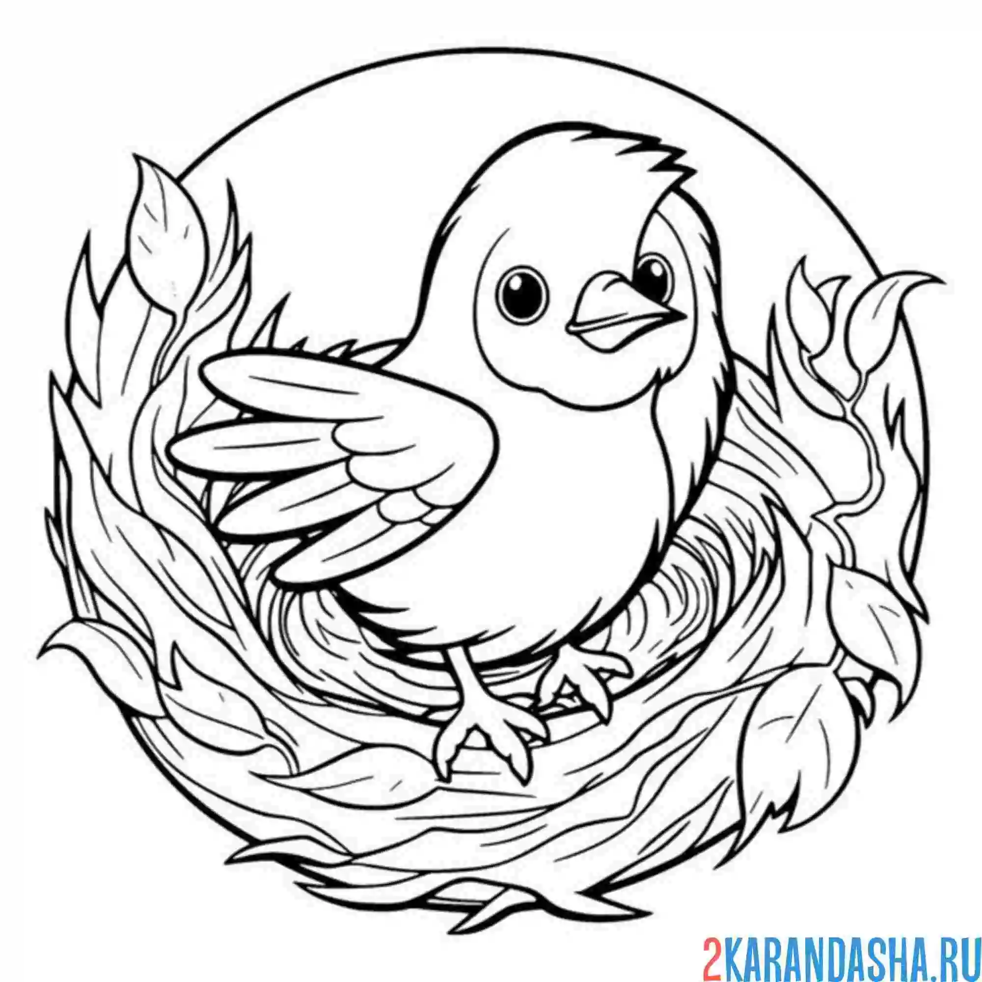 Раскраска птица и круглое гнездо