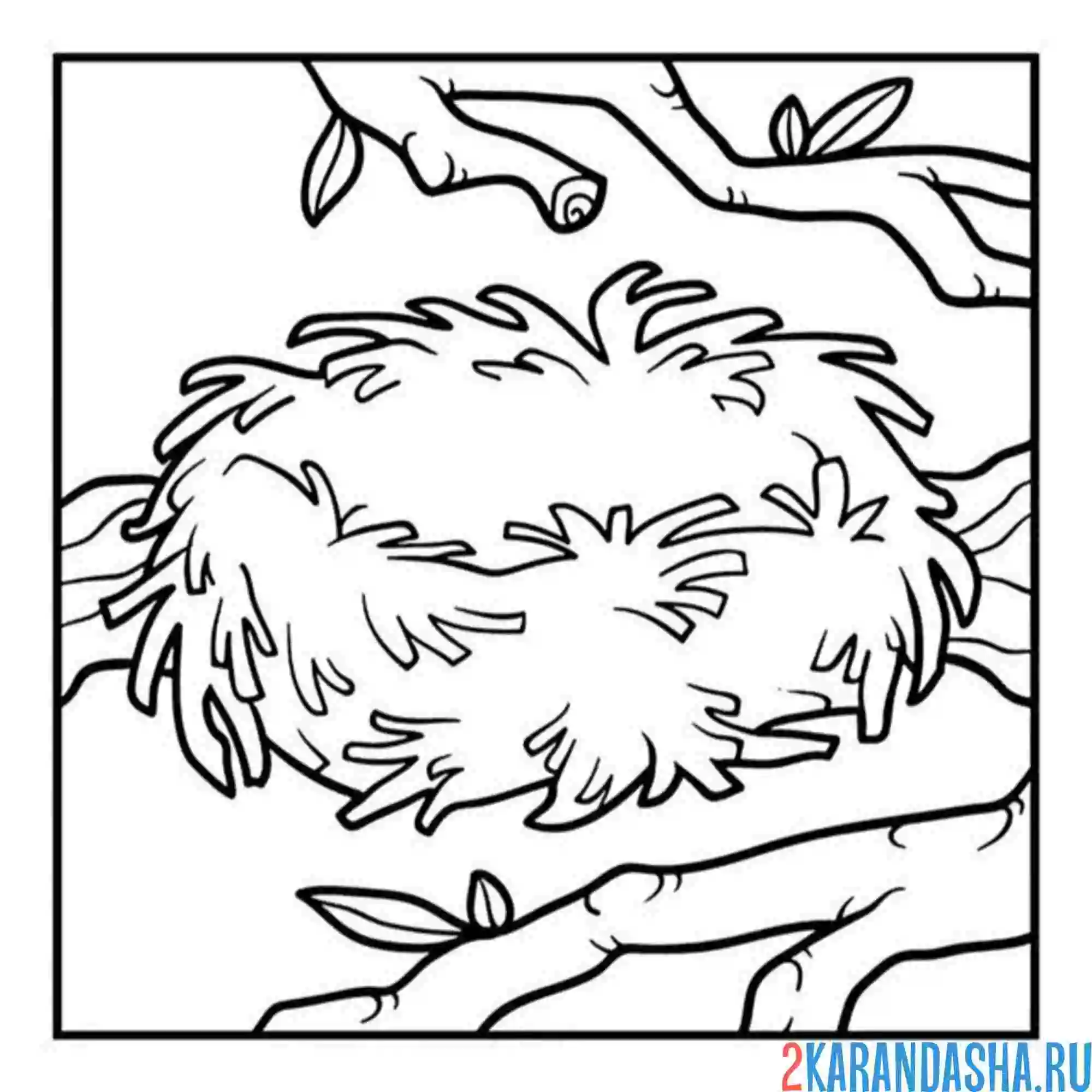 Раскраска пустое гнездо