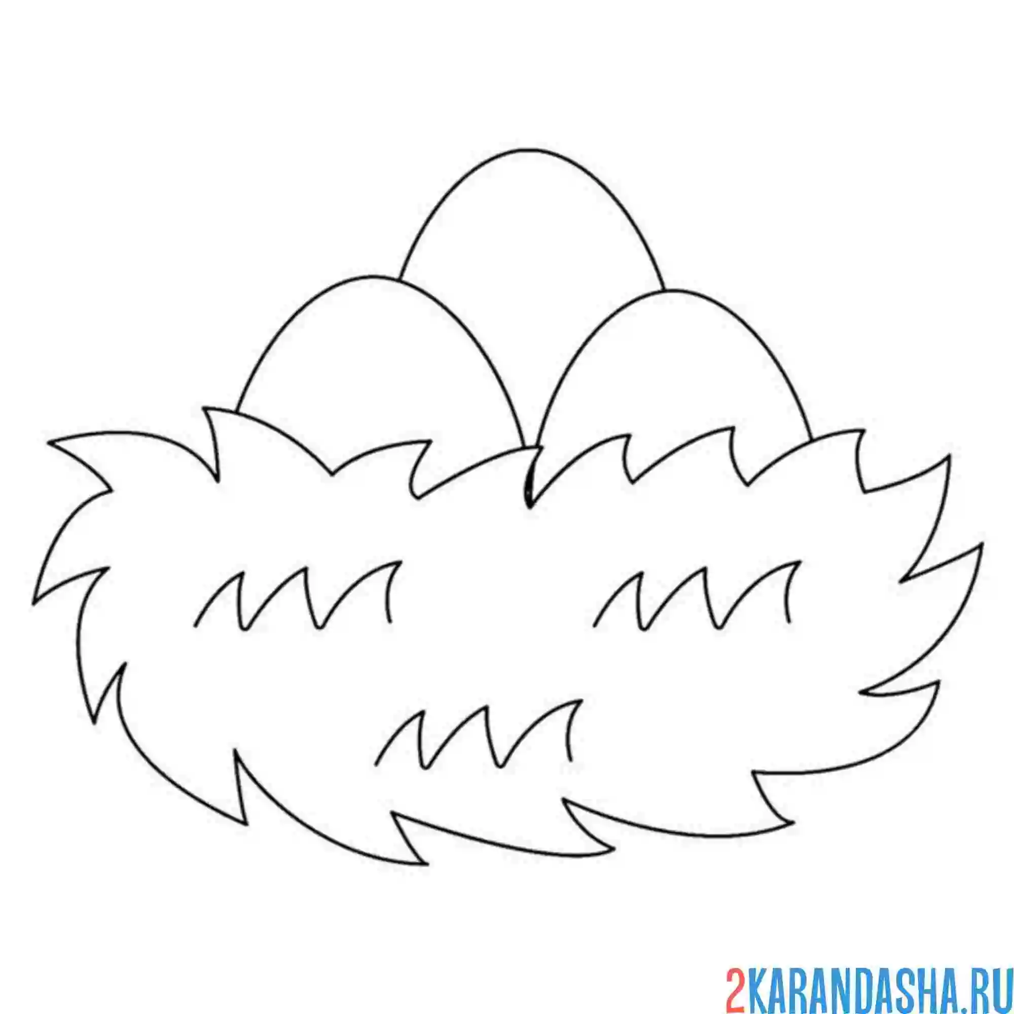 Раскраска простое гнездо