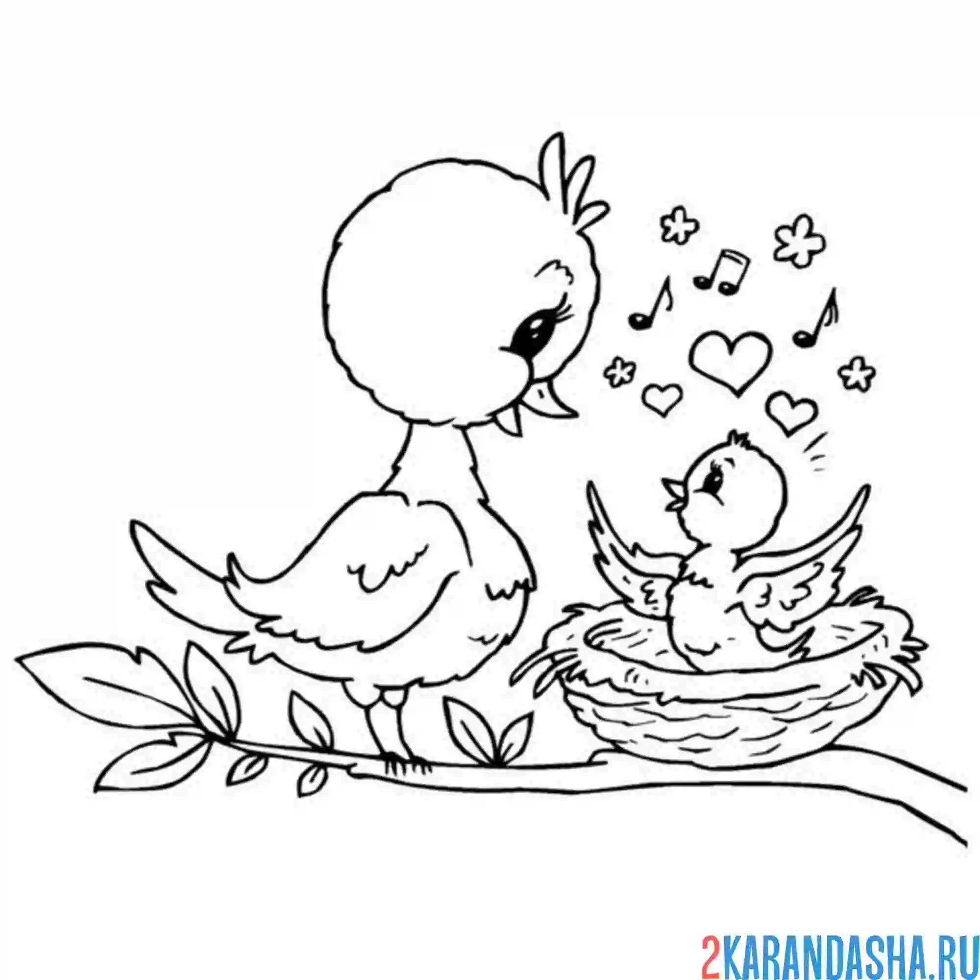Раскраска птичка любовь птенец гнездо