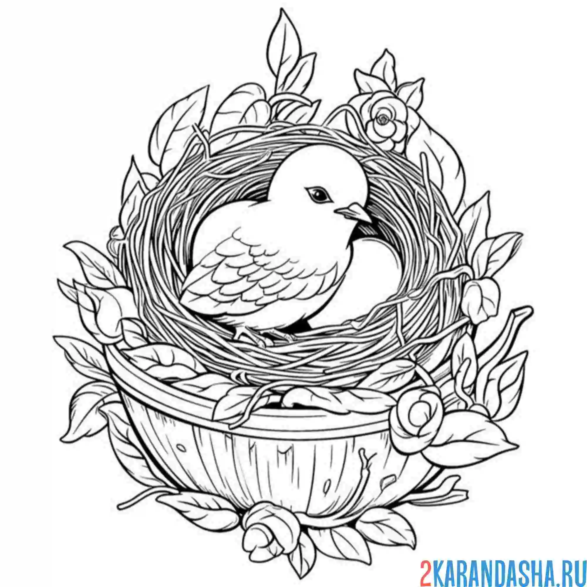 Раскраска птенчик и яйцо в гнезде