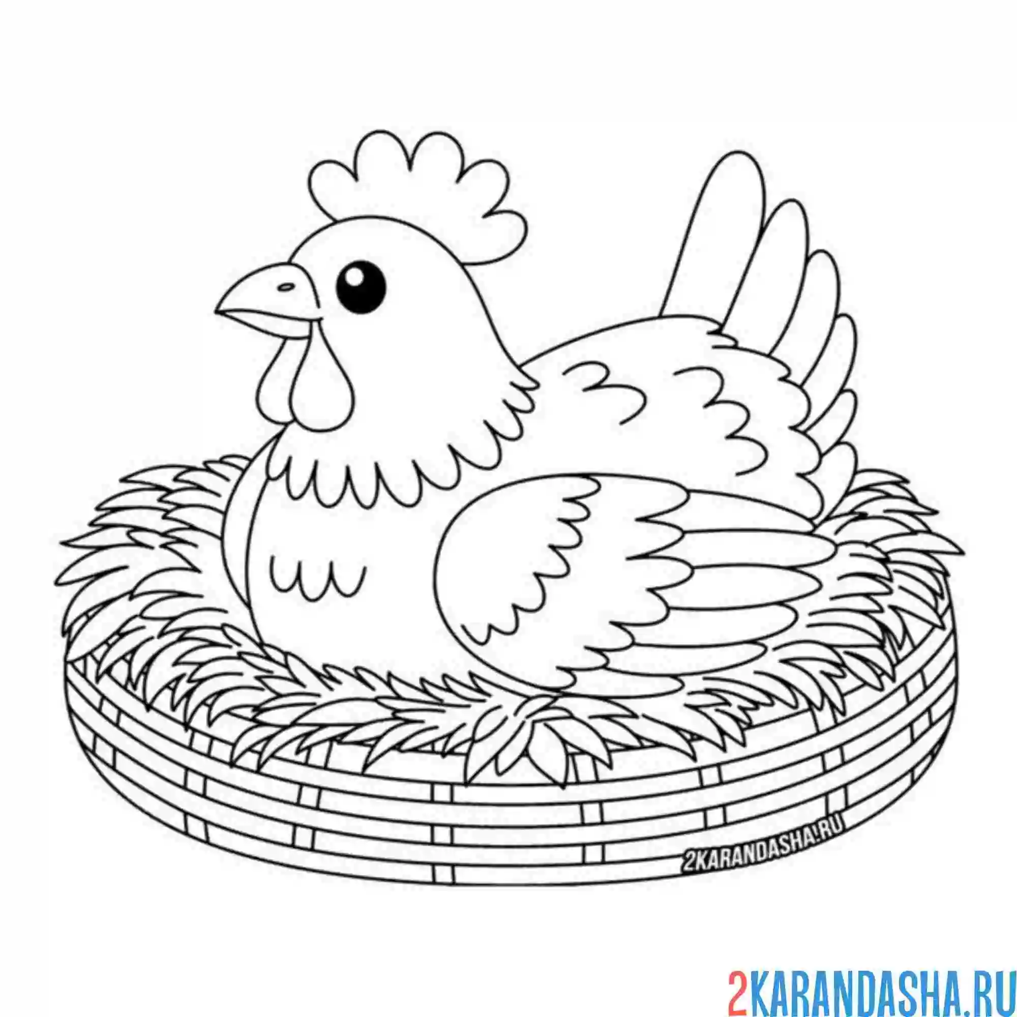 Раскраска гнездо с курицей-несушкой