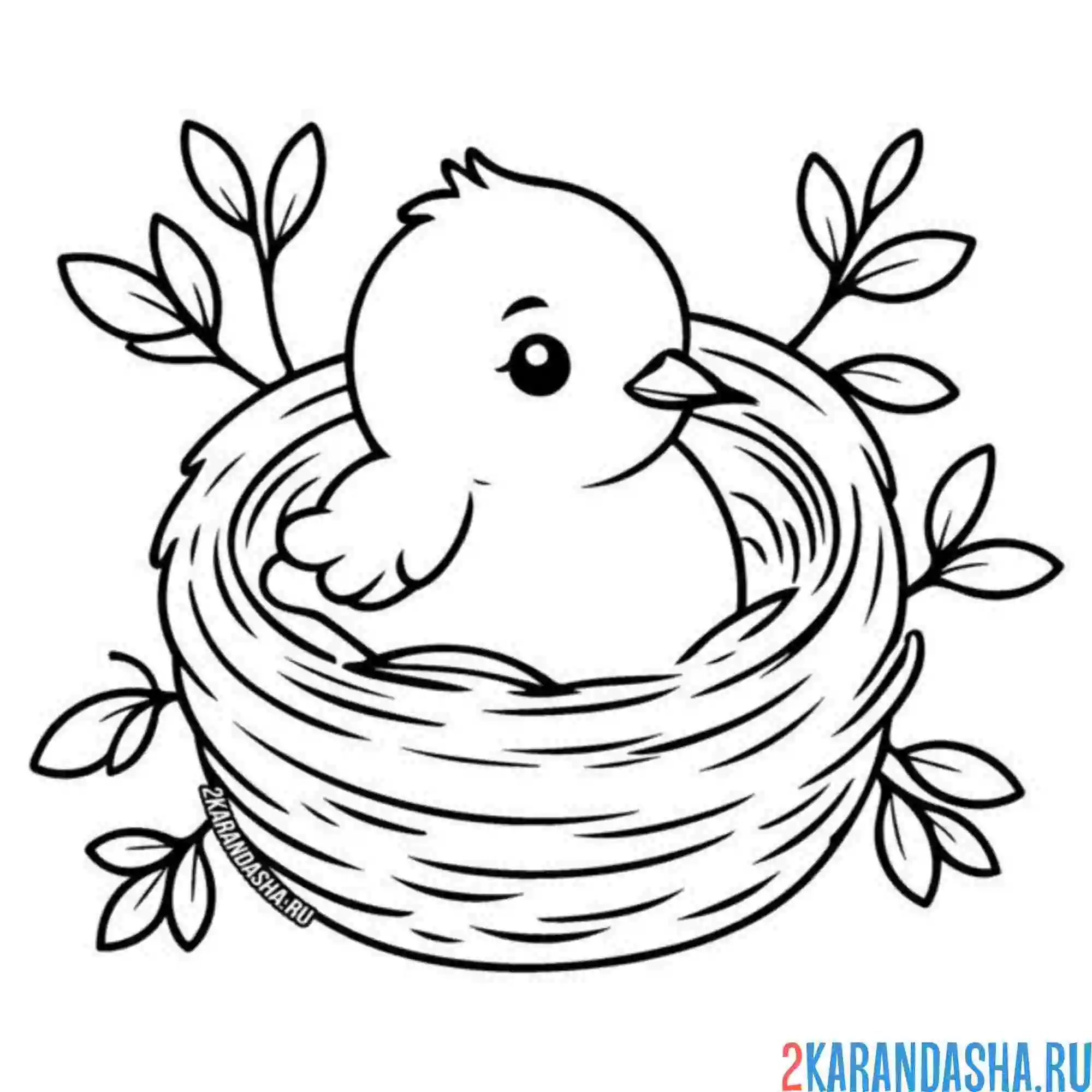 Раскраска малыш птенчик в гнезде