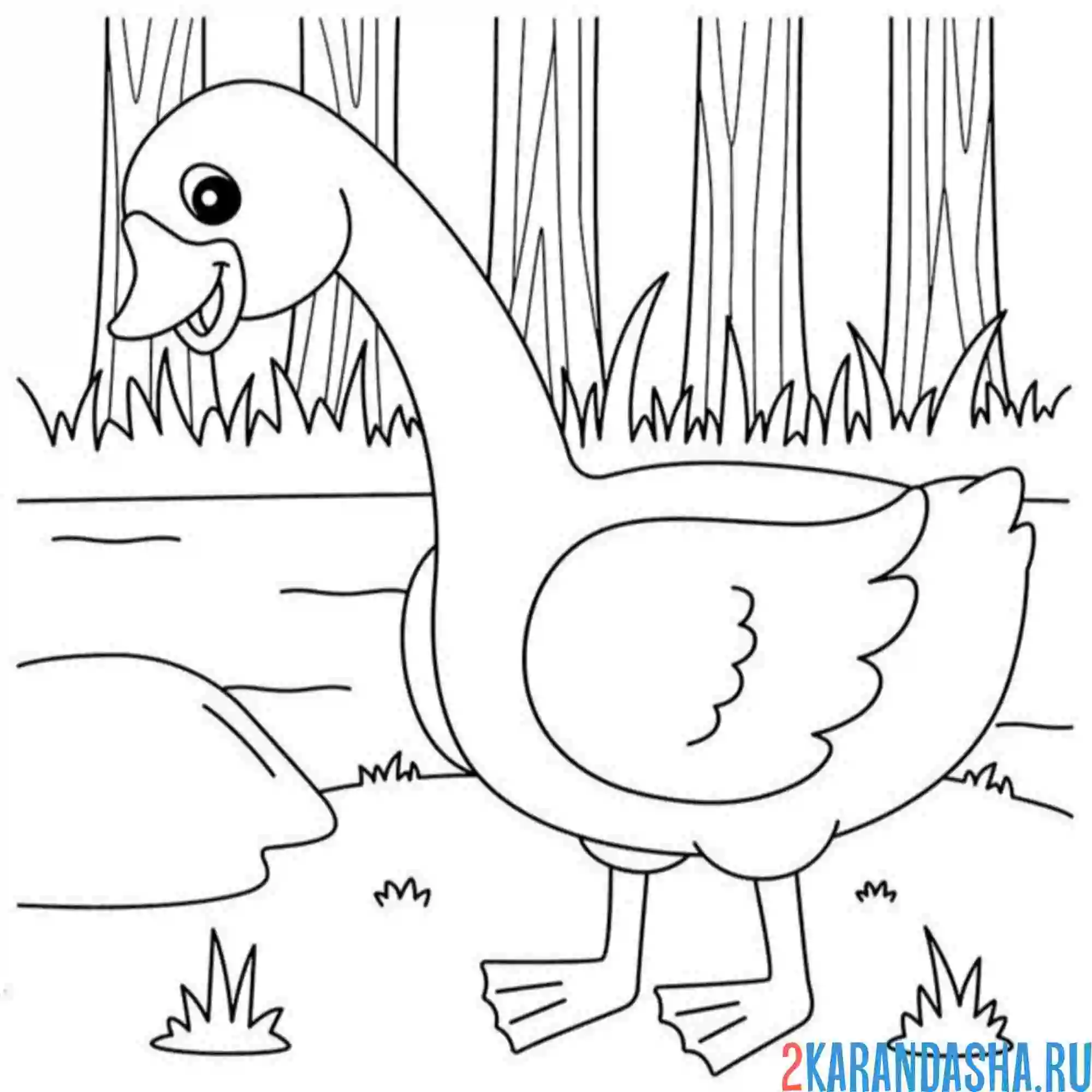 Раскраска гусь в лесу