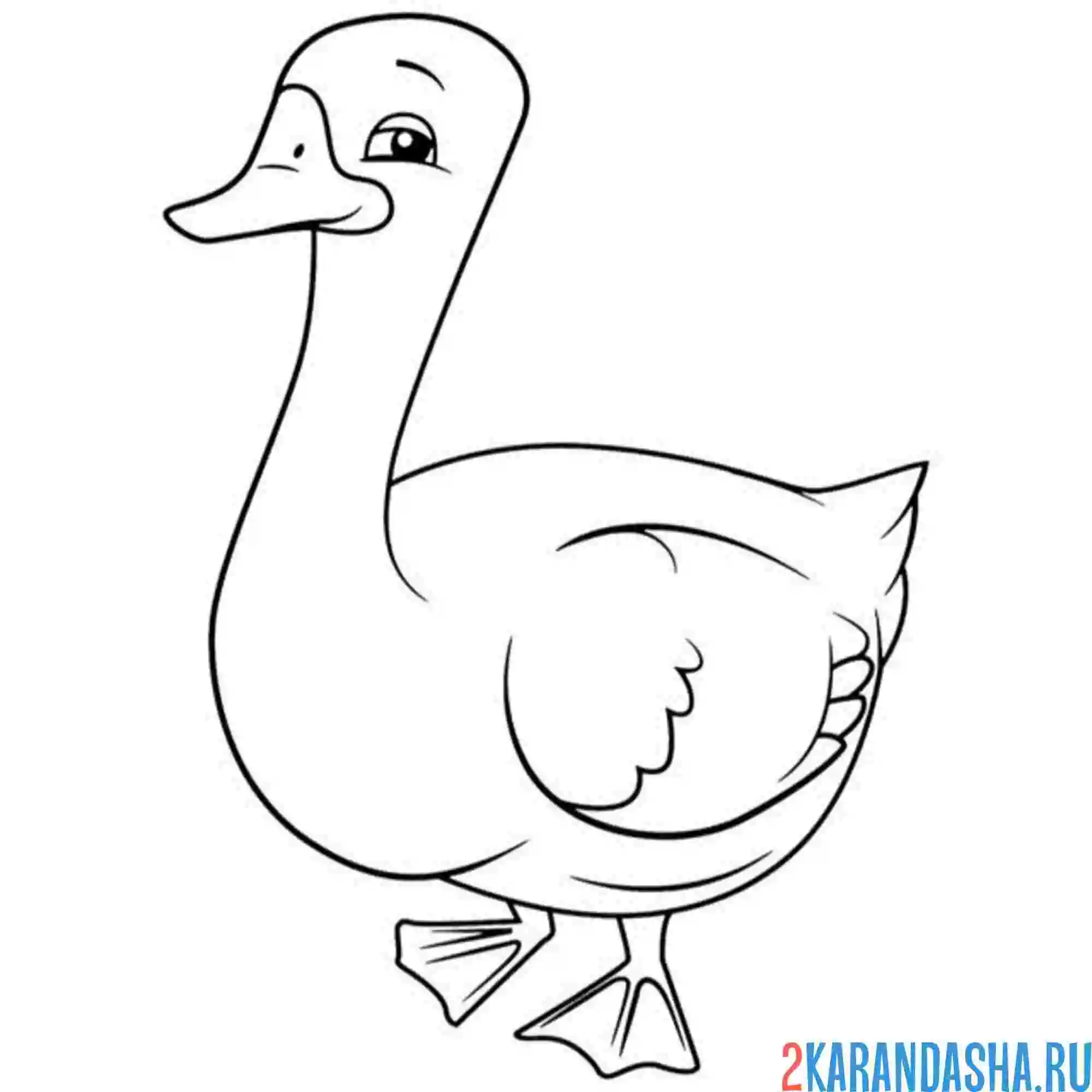 Раскраска гусь деловой