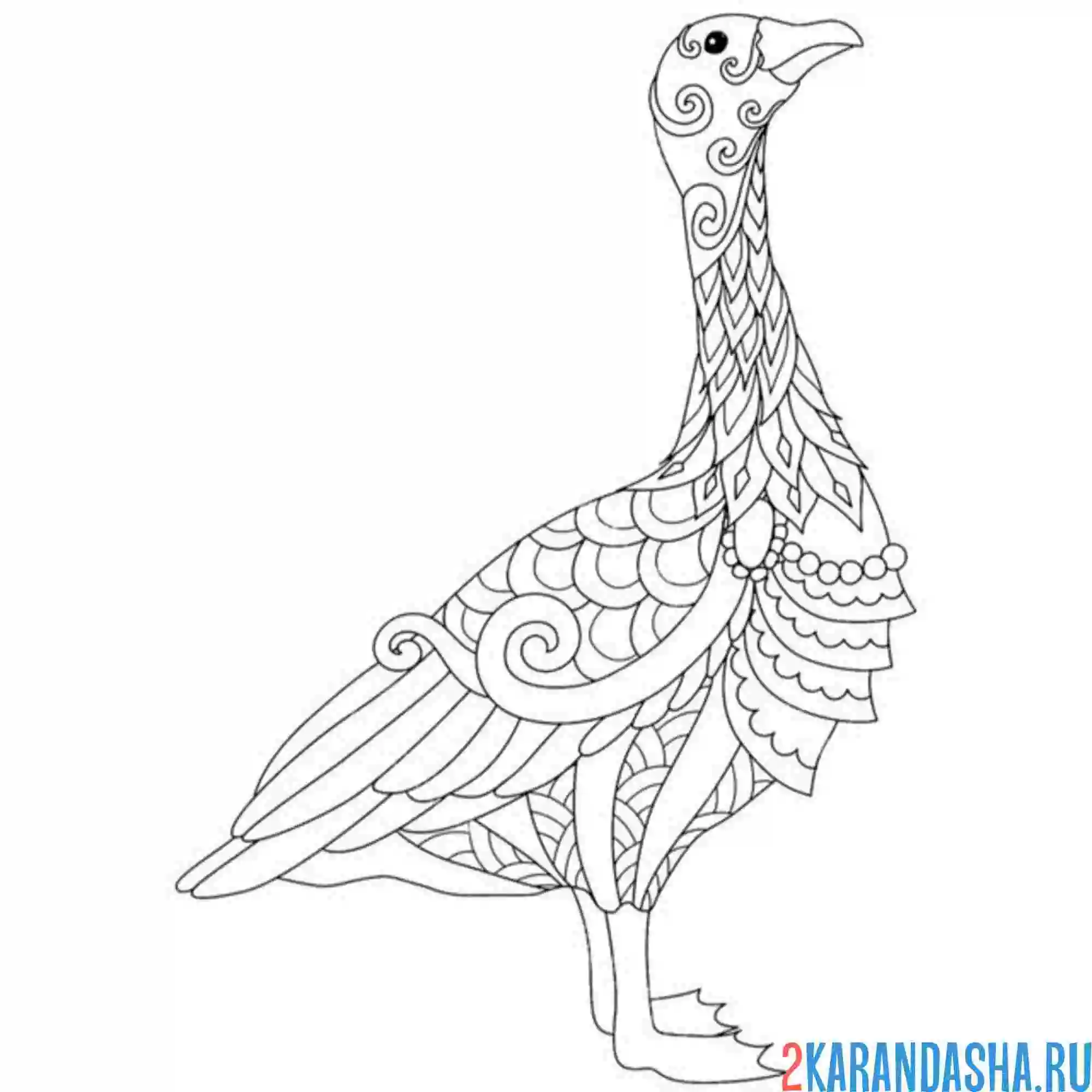 Раскраска гусь антистресс