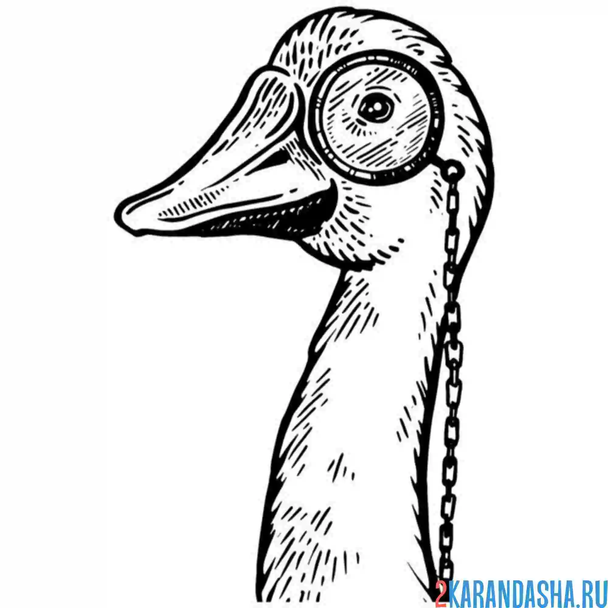 Раскраска гусь и монокль