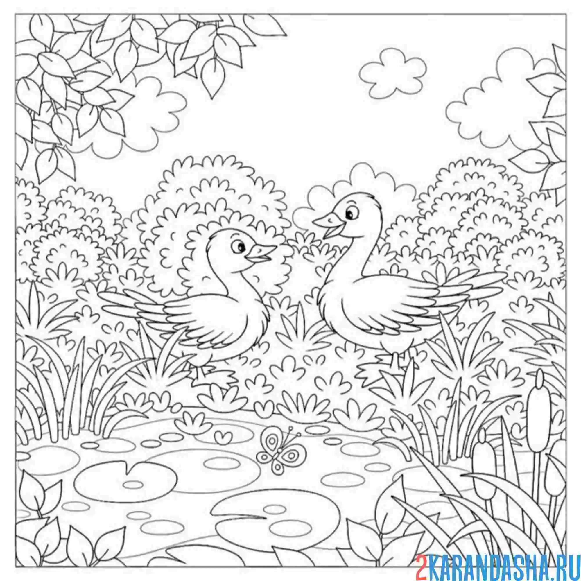 Раскраска два гуся на пруду
