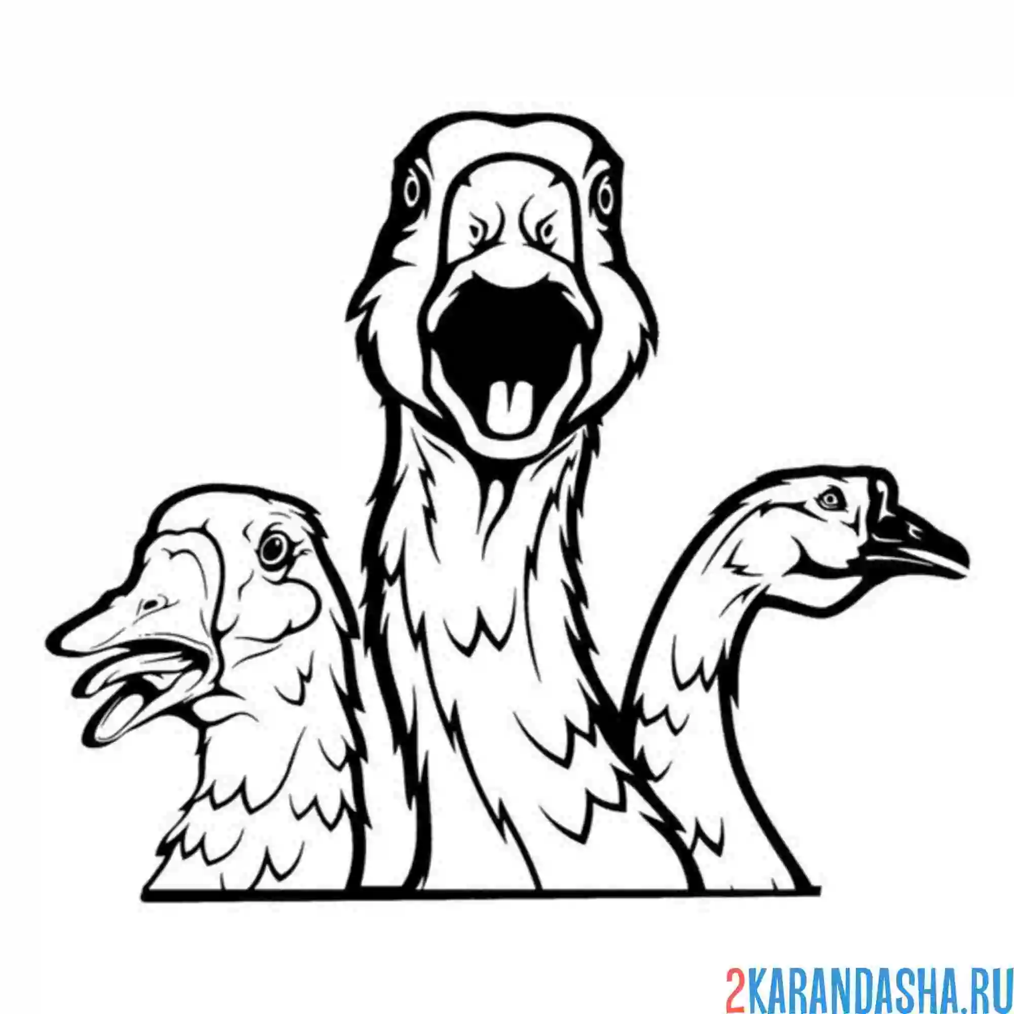 Раскраска три гусиных головы