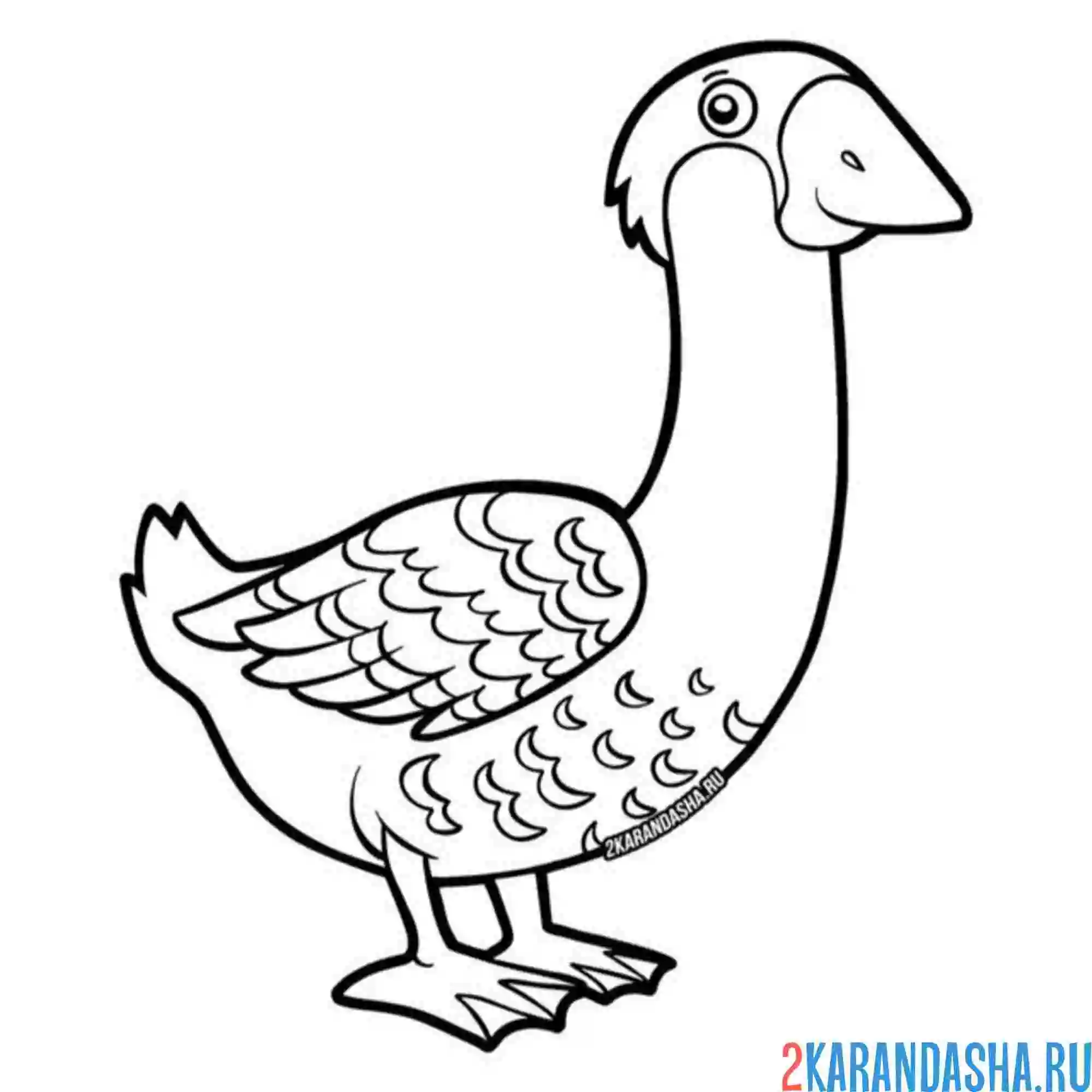 Раскраска необычный гусь