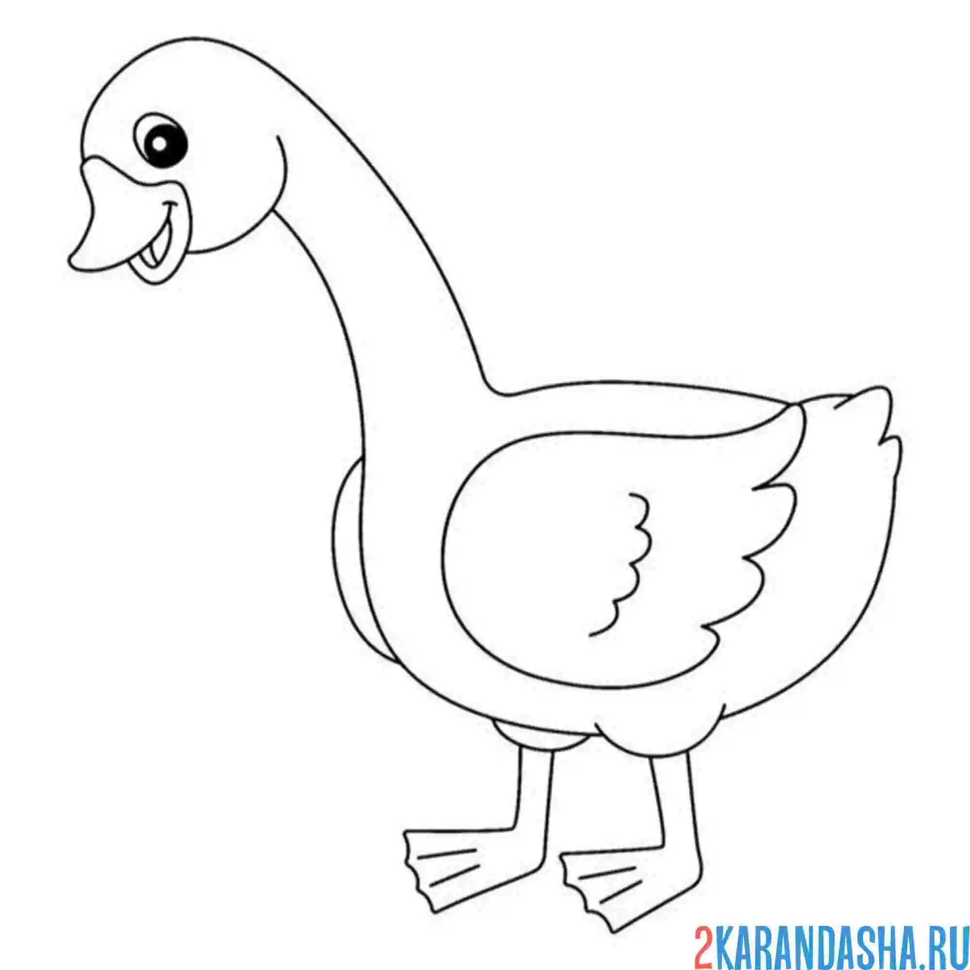 Раскраска гусь ищет еду