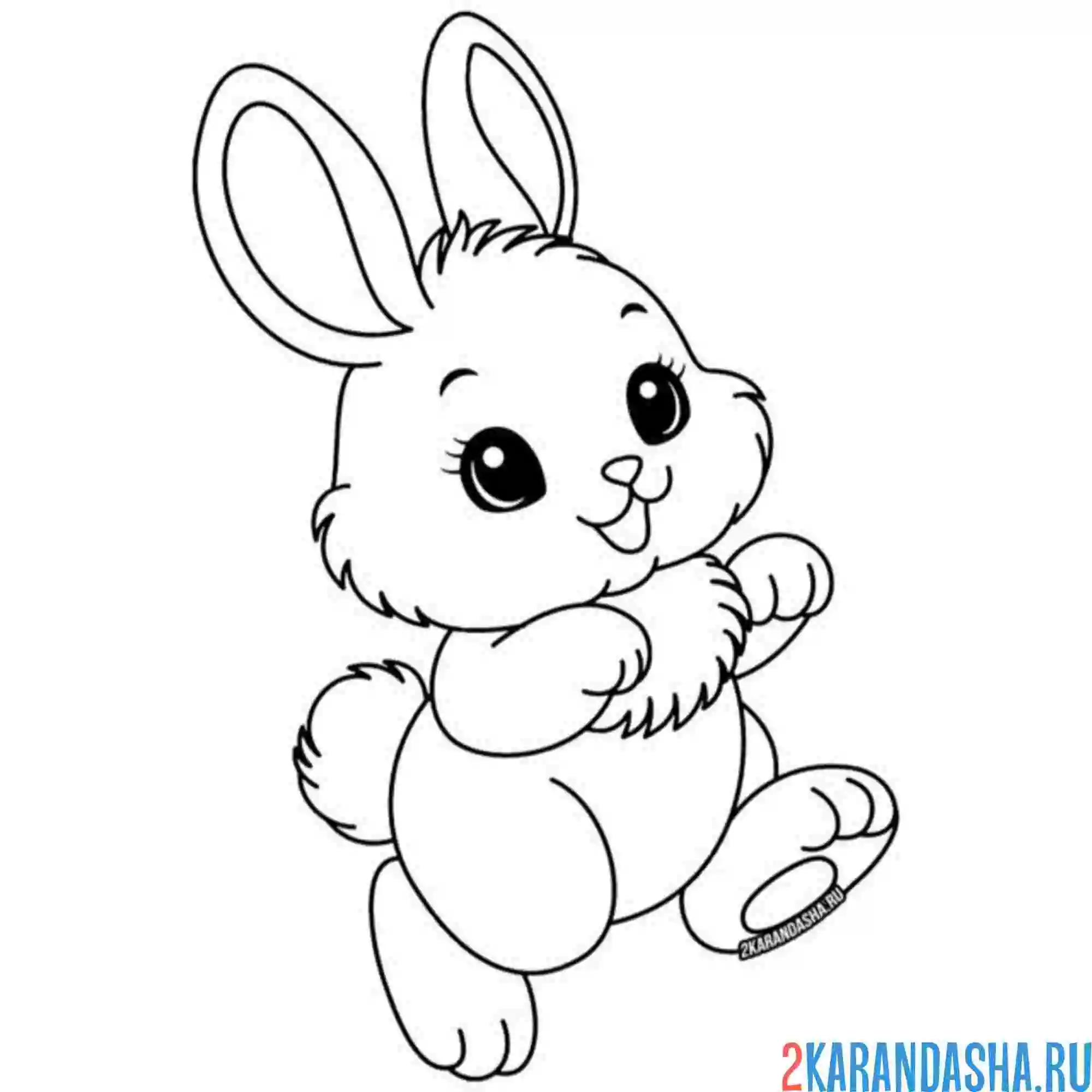 Раскраска супер-милый зайчишка