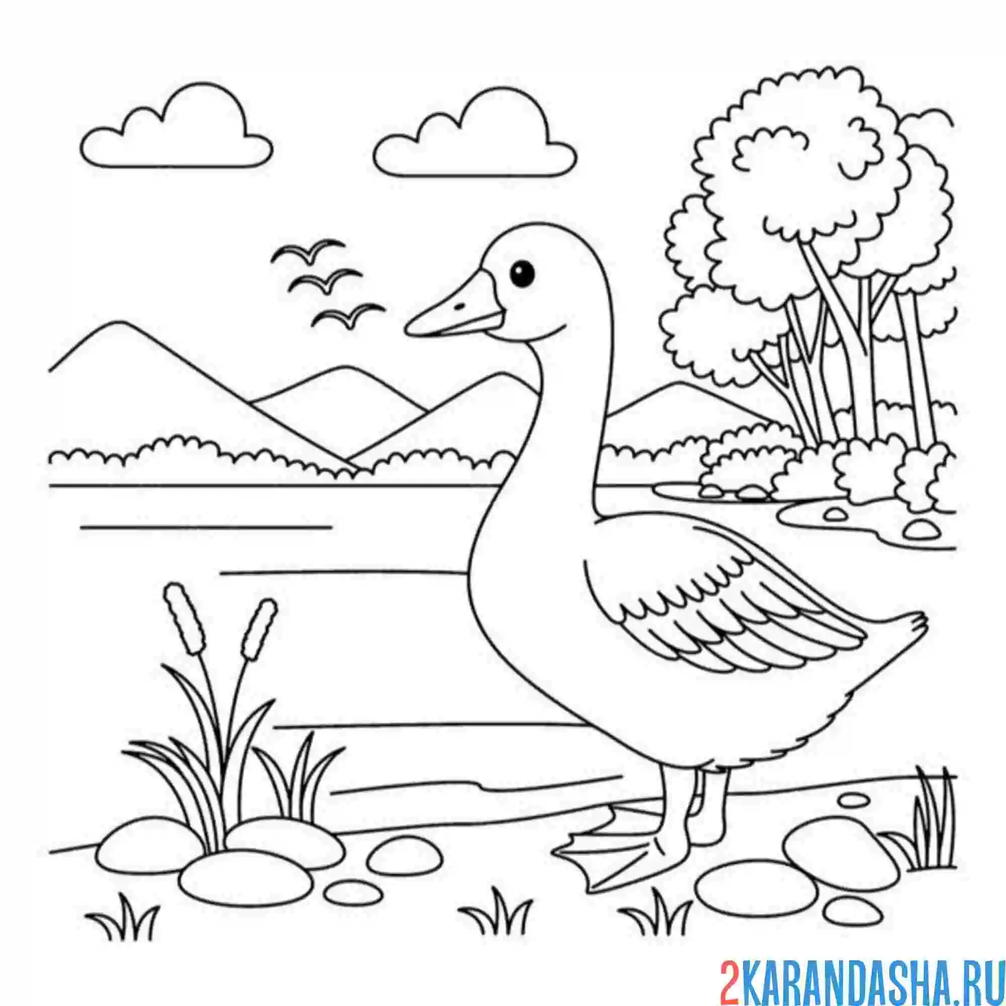 Раскраска гусь на прогулке