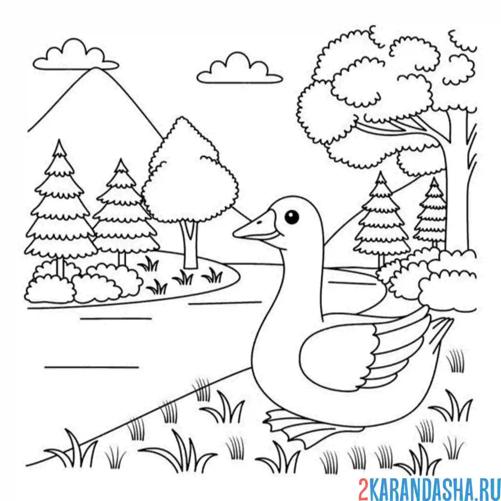 Раскраска гусь в лесу на озере