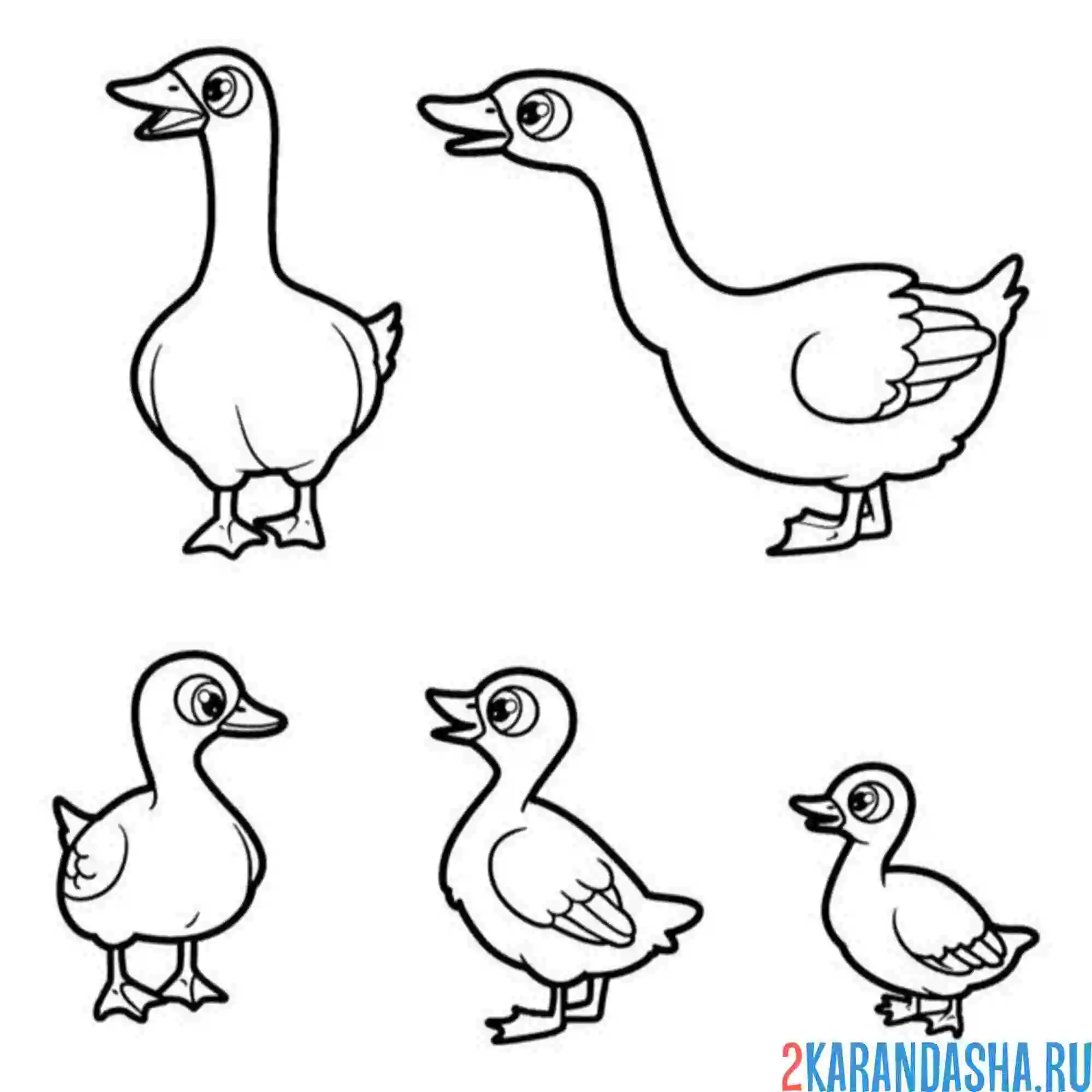 Раскраска гуси гага