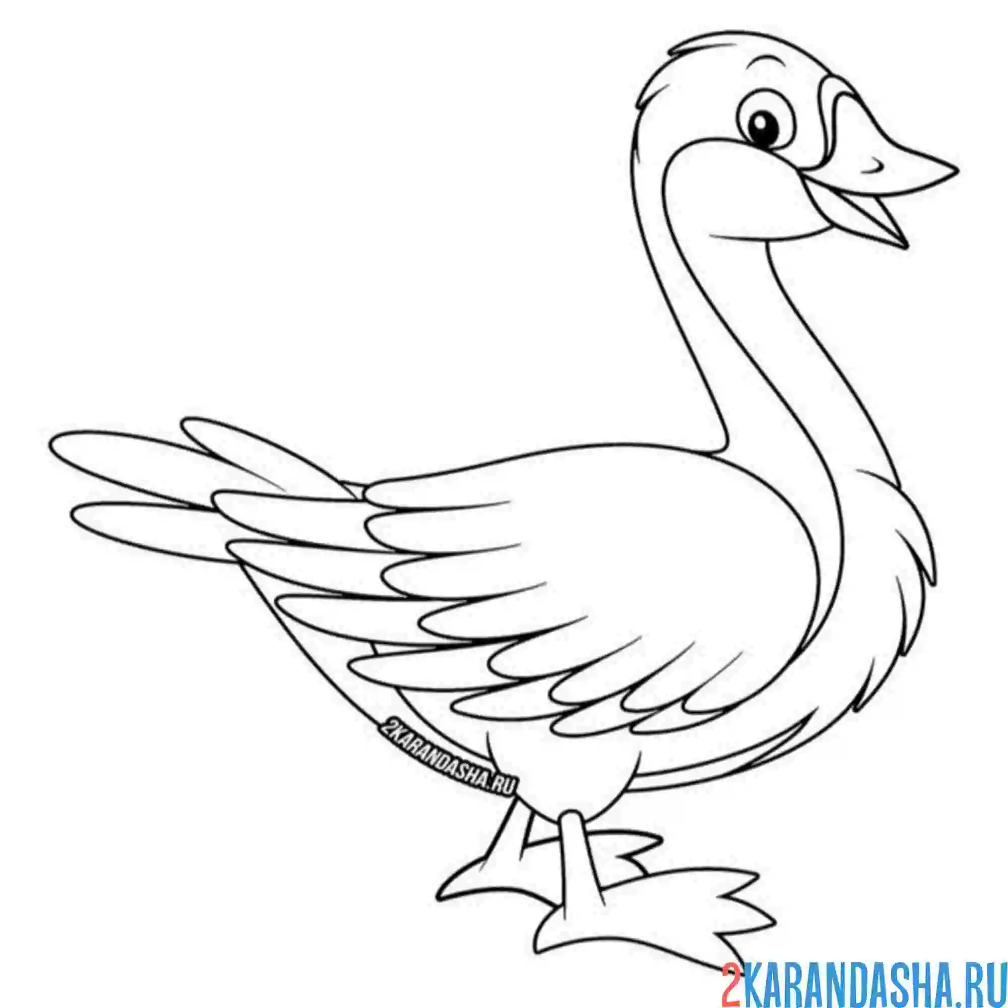 Раскраска гусь красивая птица