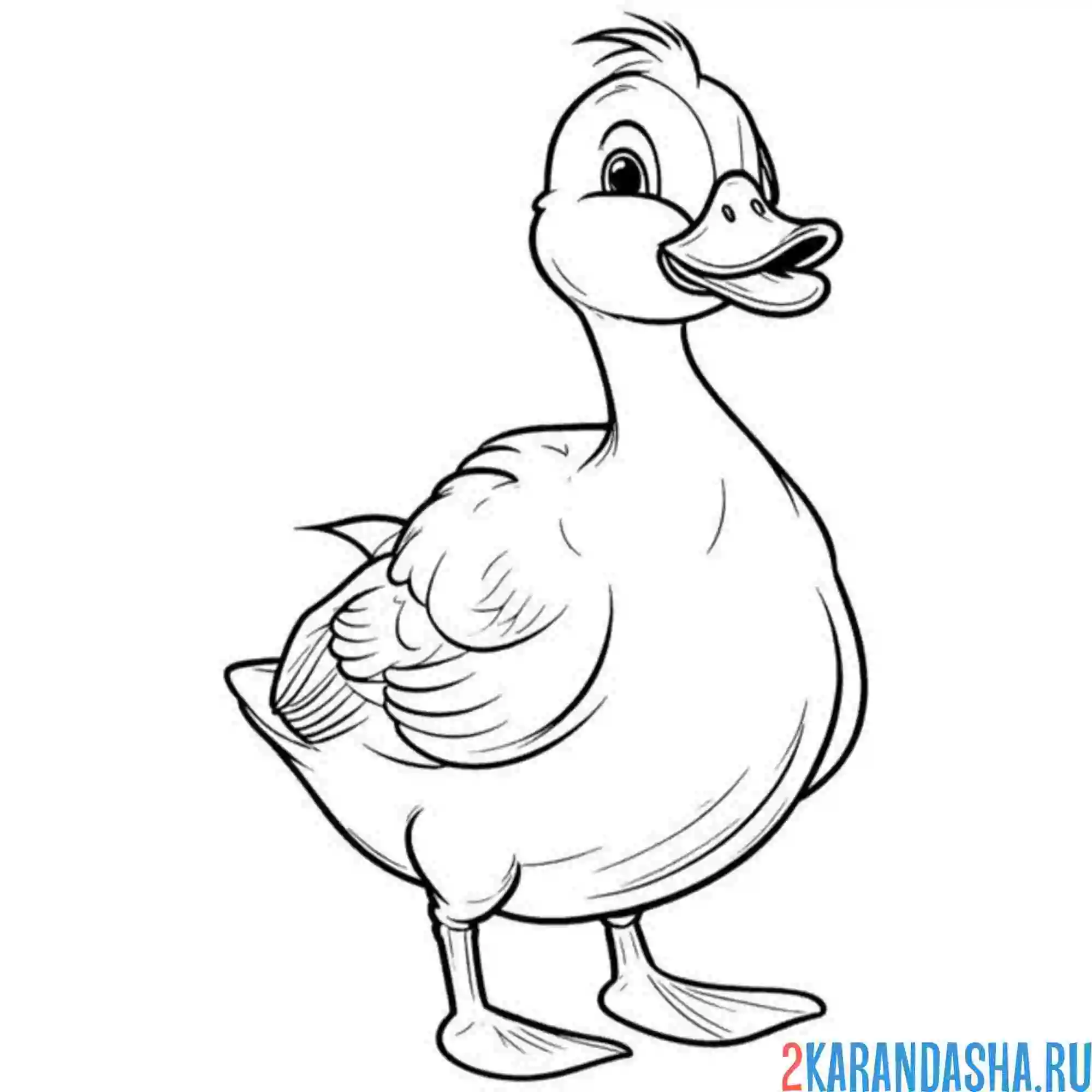 Раскраска подросток утенок