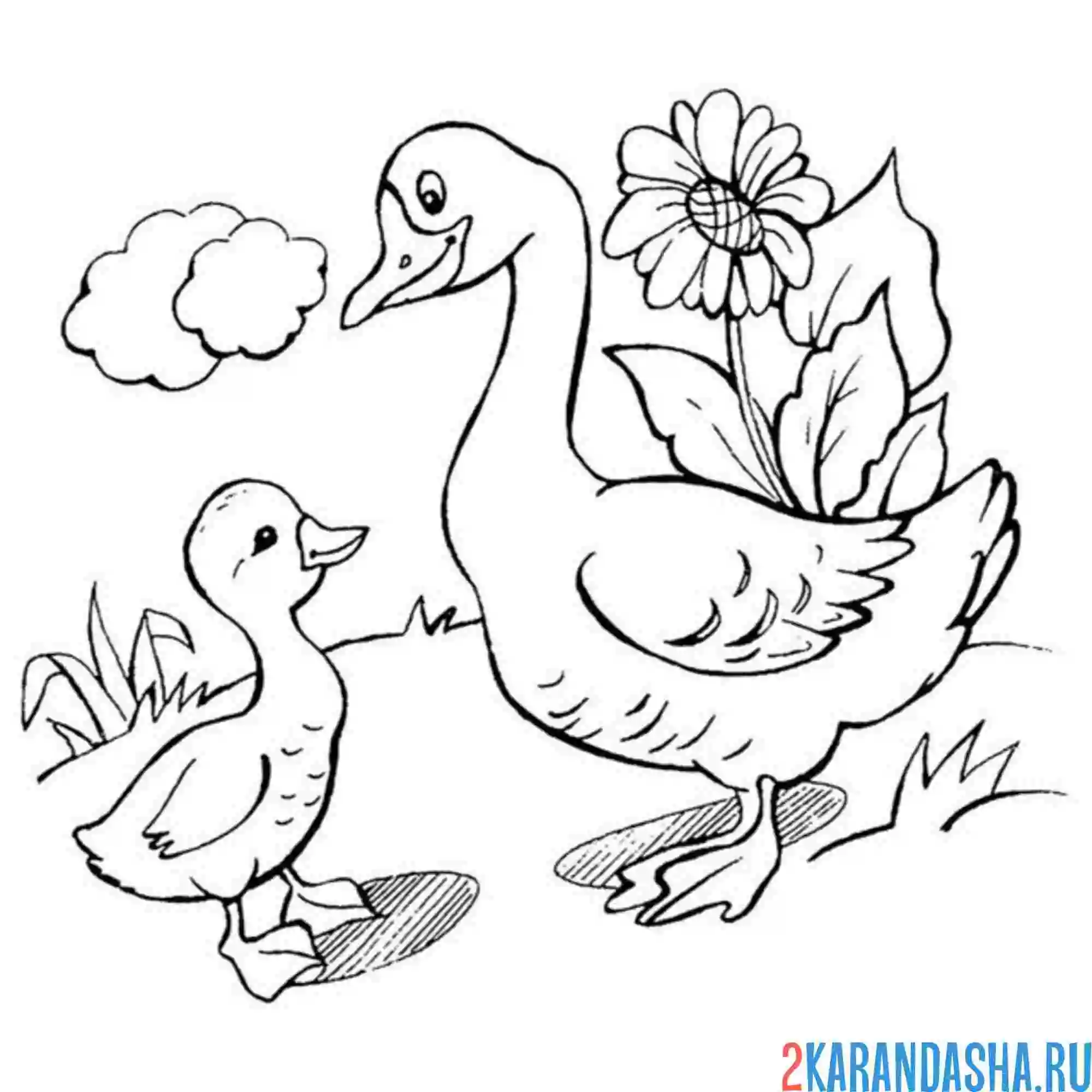Раскраска мама гусыня с гусенком