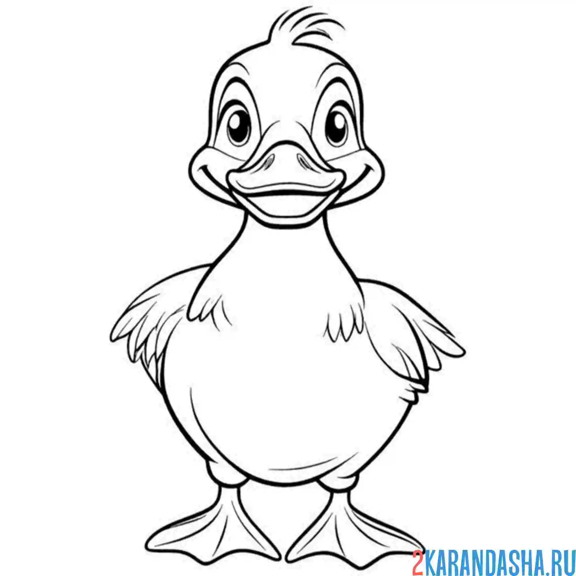Раскраска небольшой утенок