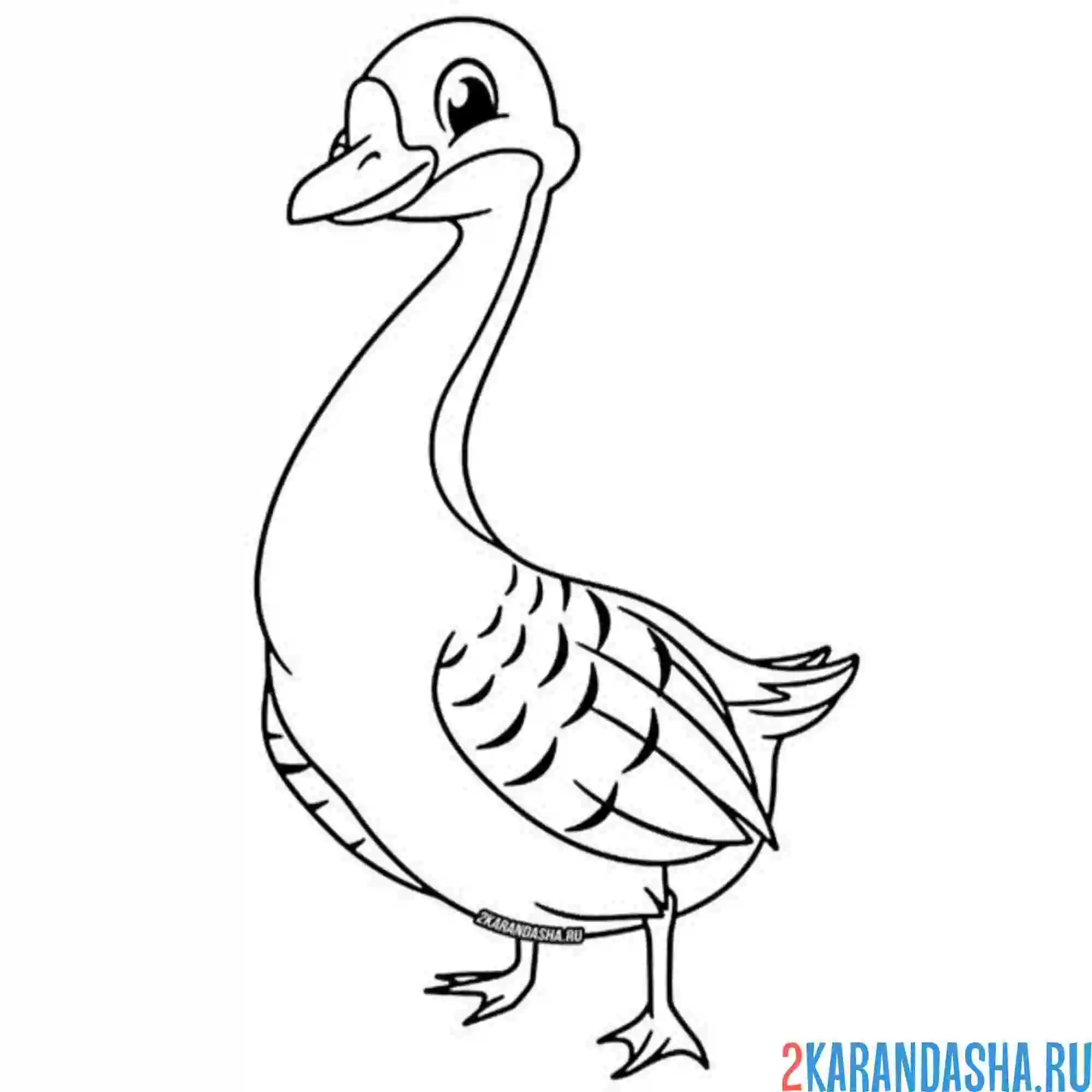 Раскраска гусь улыбка