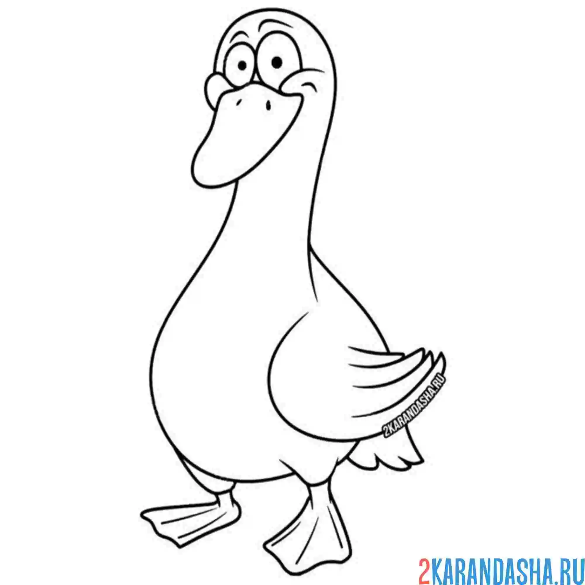 Раскраска гусь для срисовки