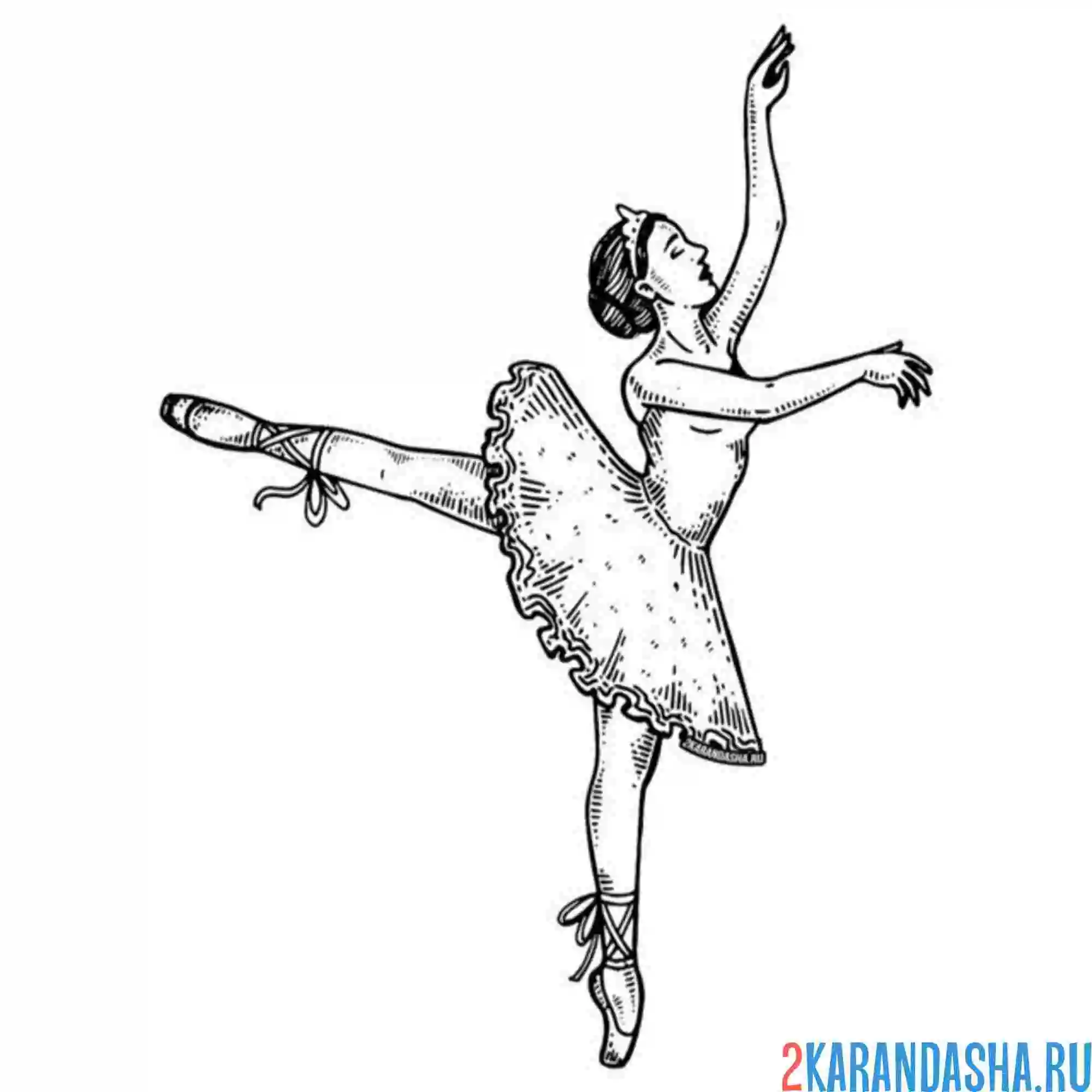 Раскраска настоящая балерина