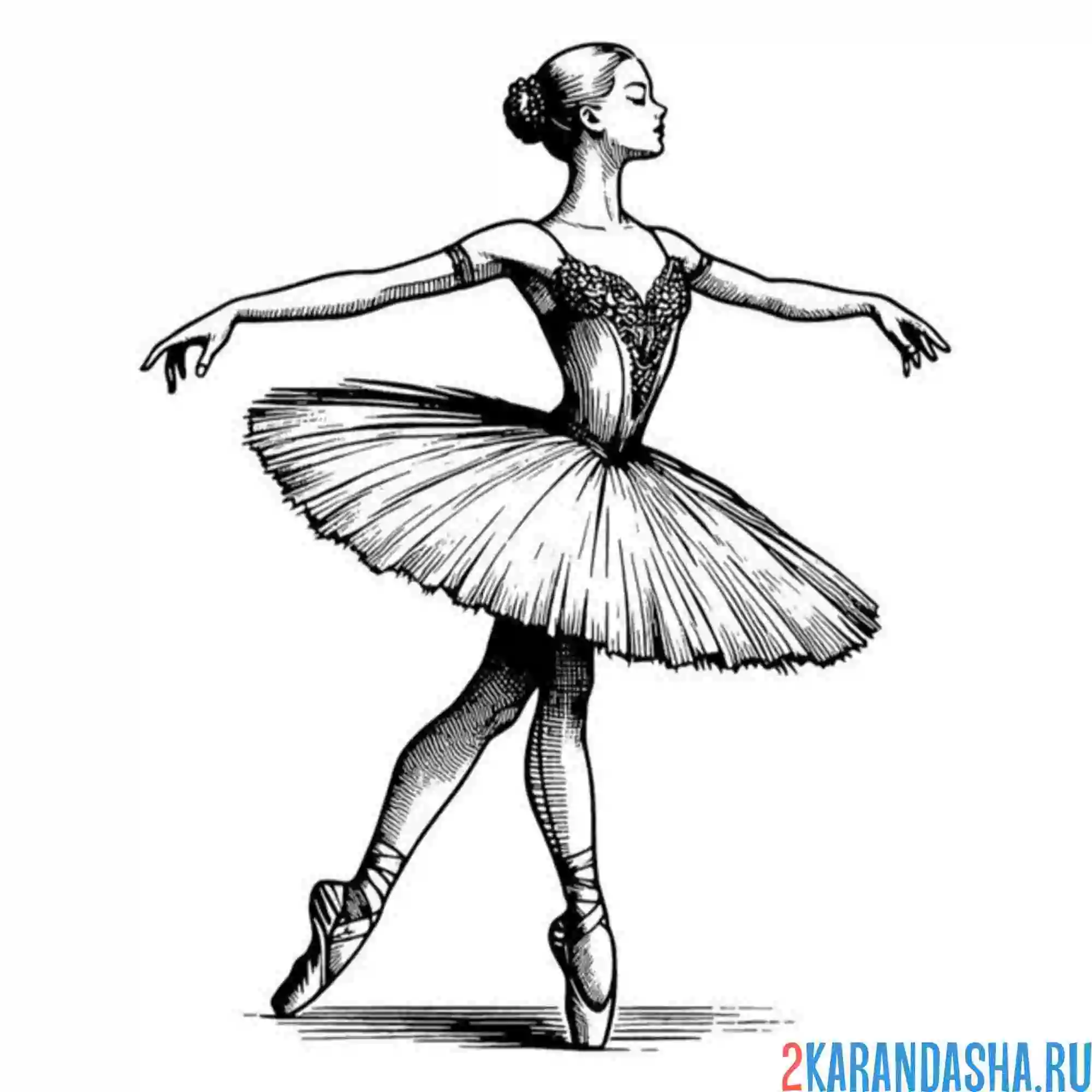 Раскраска балерина и пачка