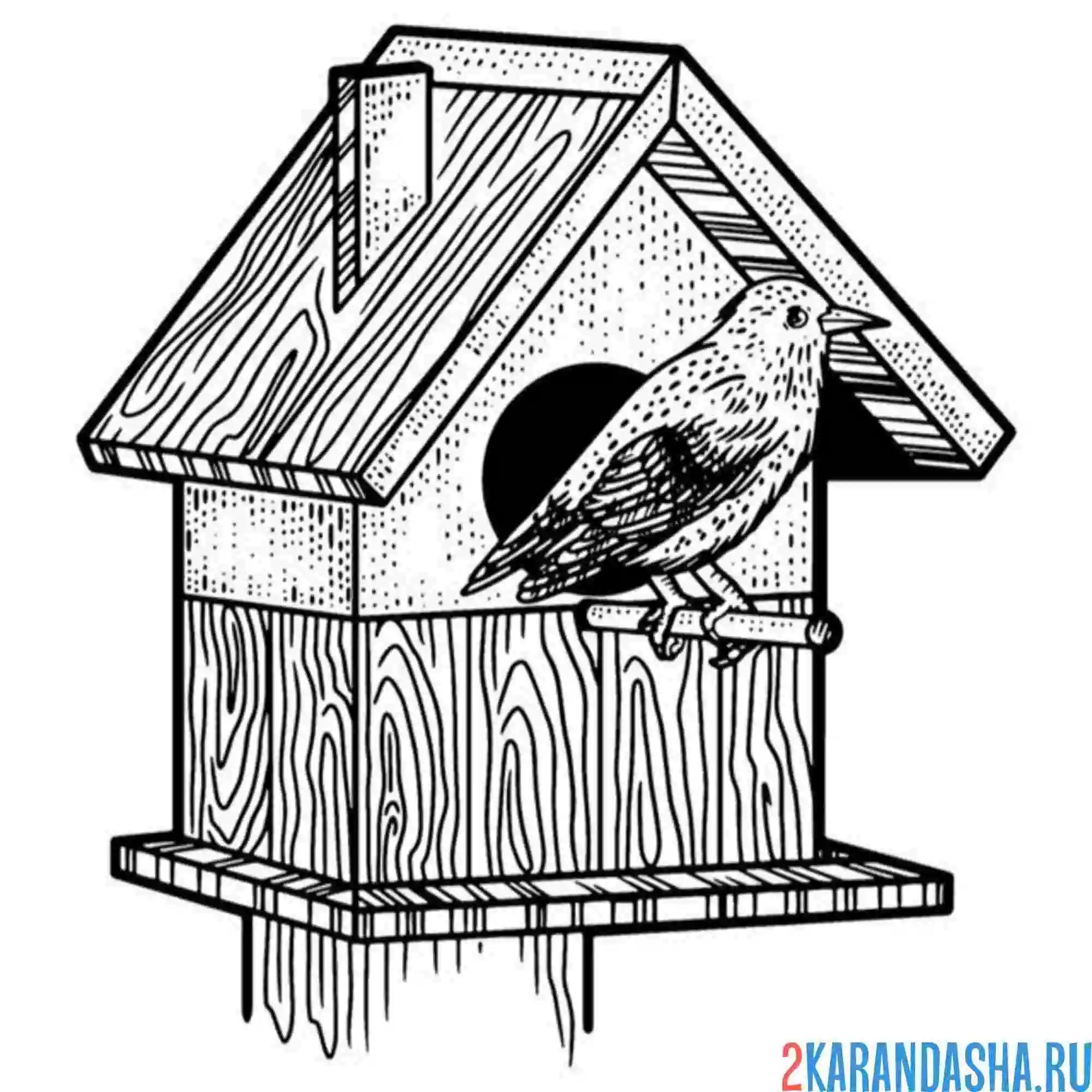 Раскраска скворец в скворечнике